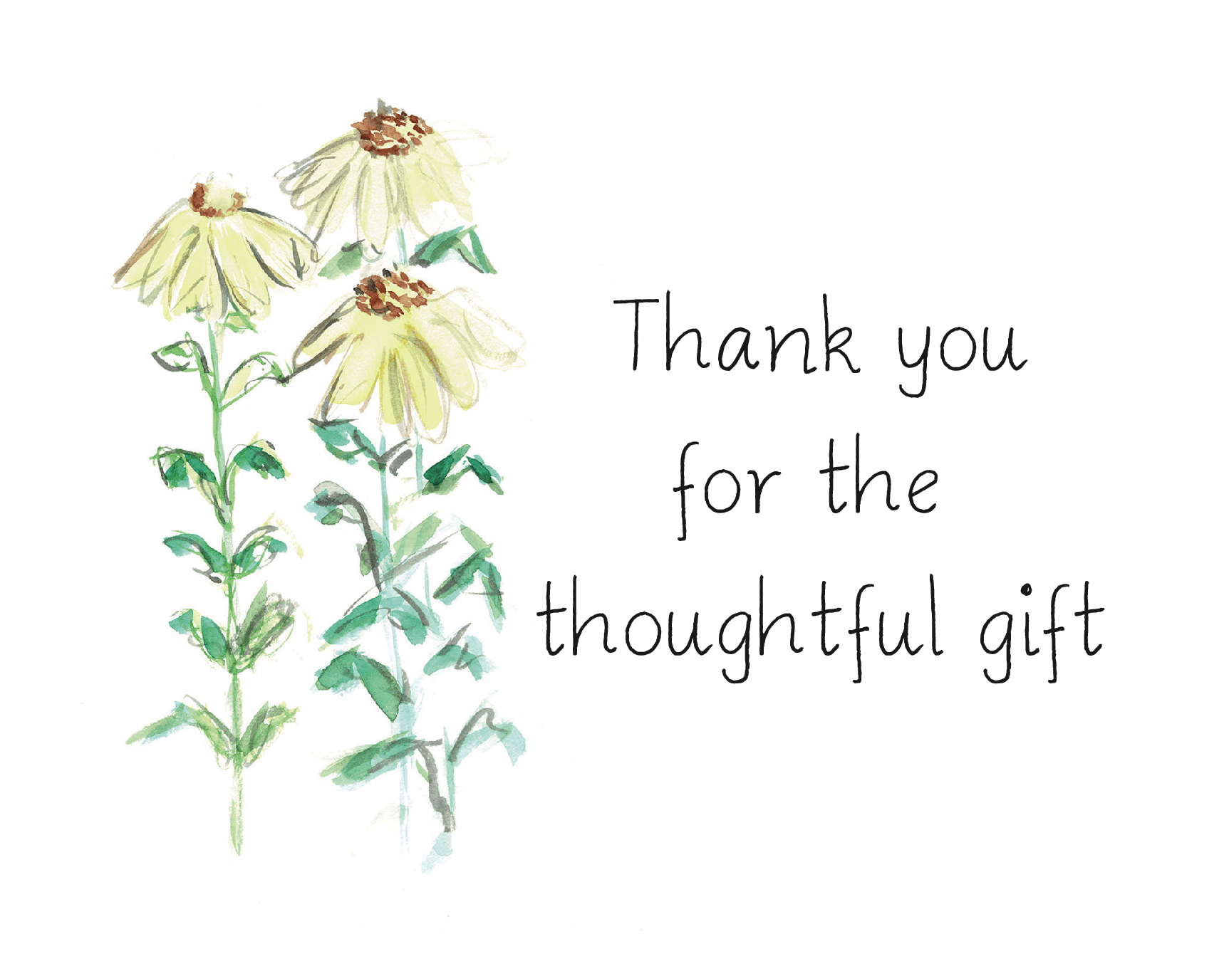 Thank You Daisies