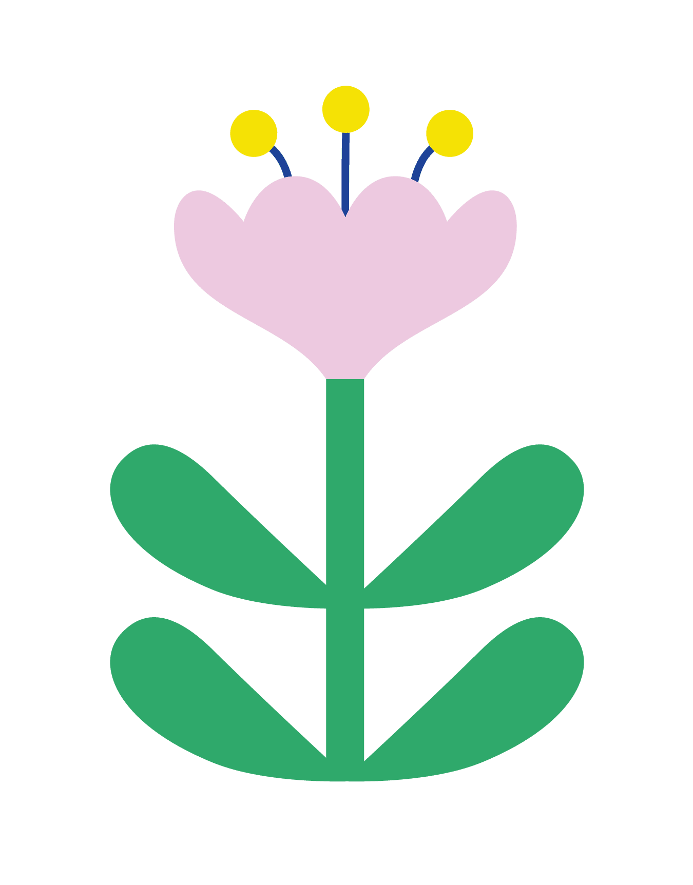 Crocus Madame Floral Blank Card