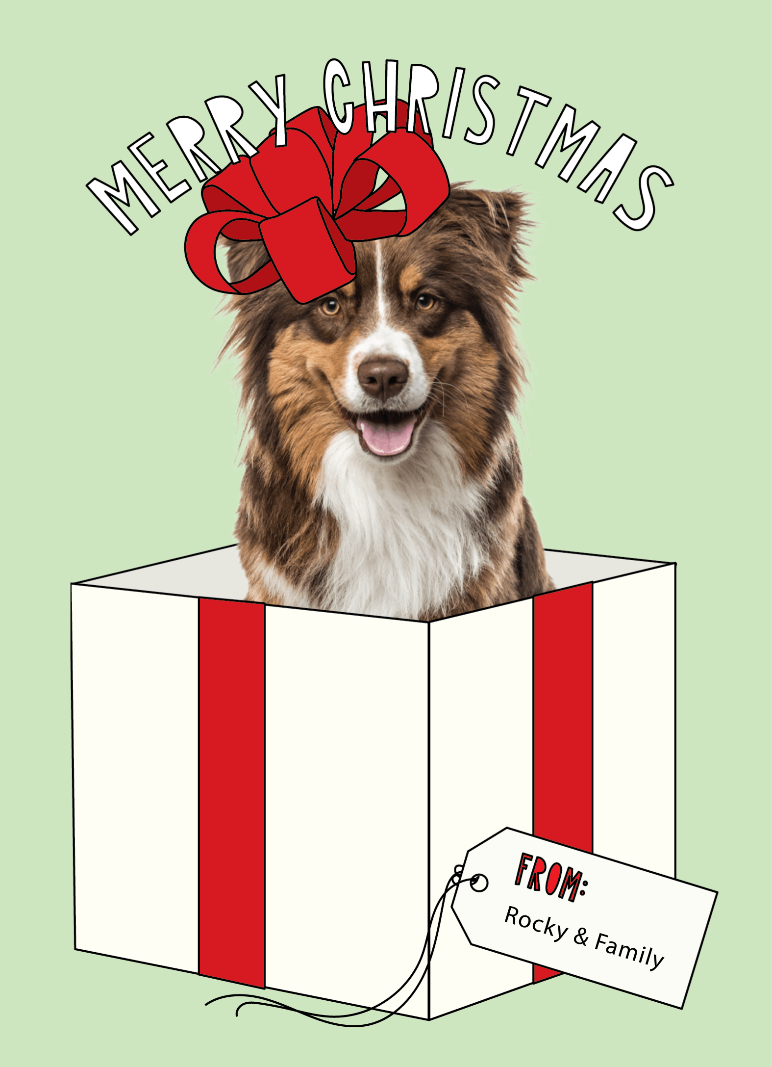 Christmas Bow Surprise