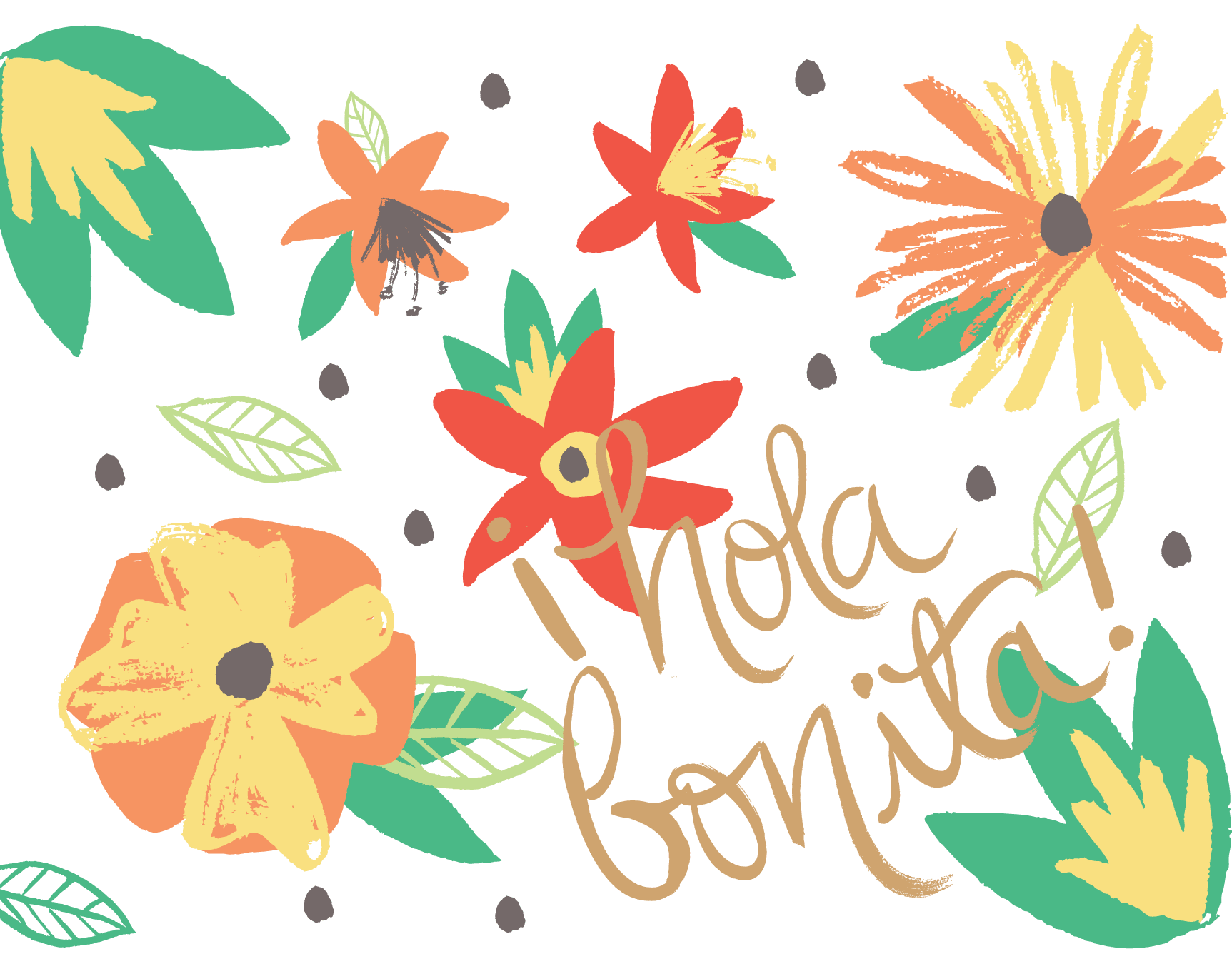 Hola Bonita