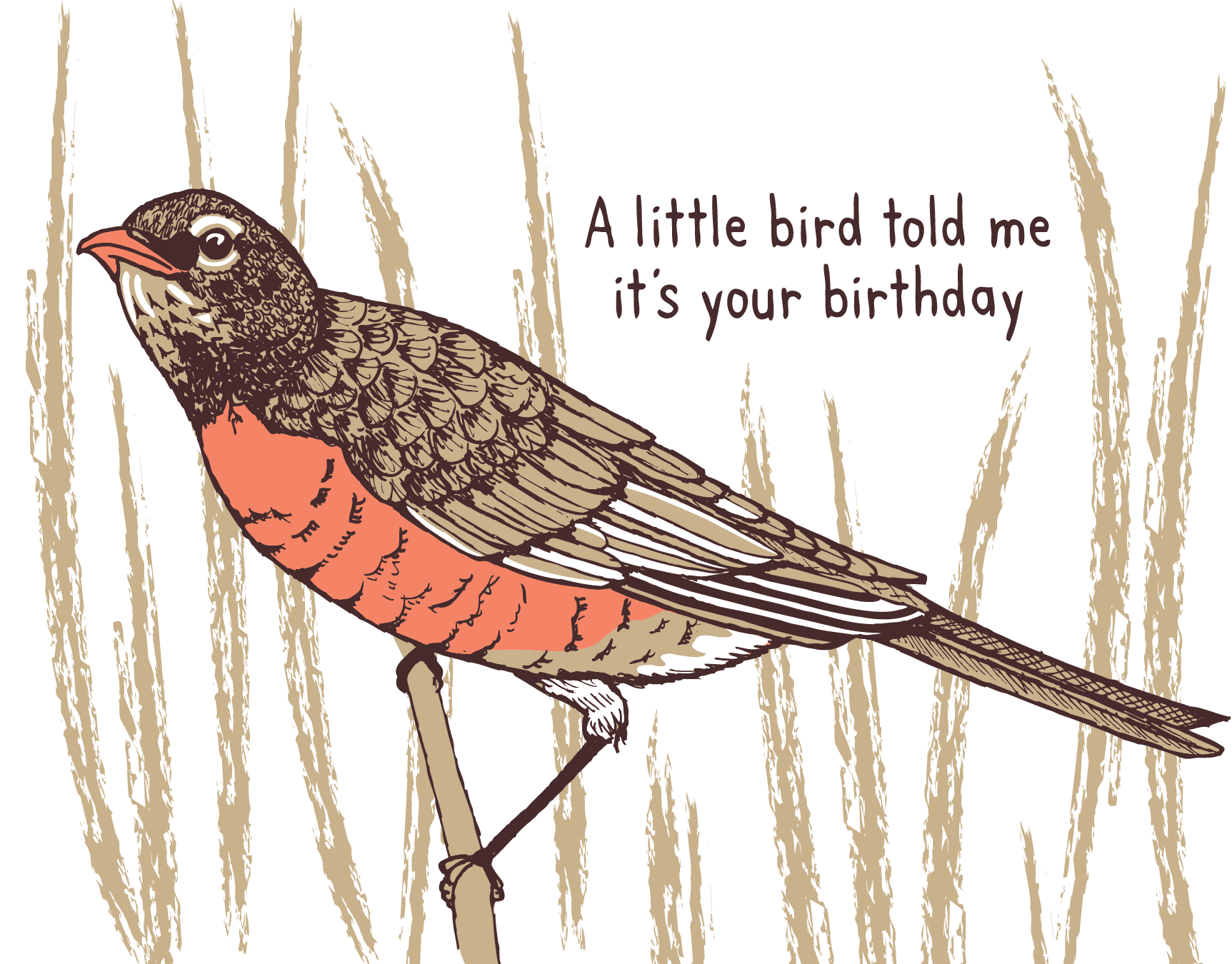 Little Bird