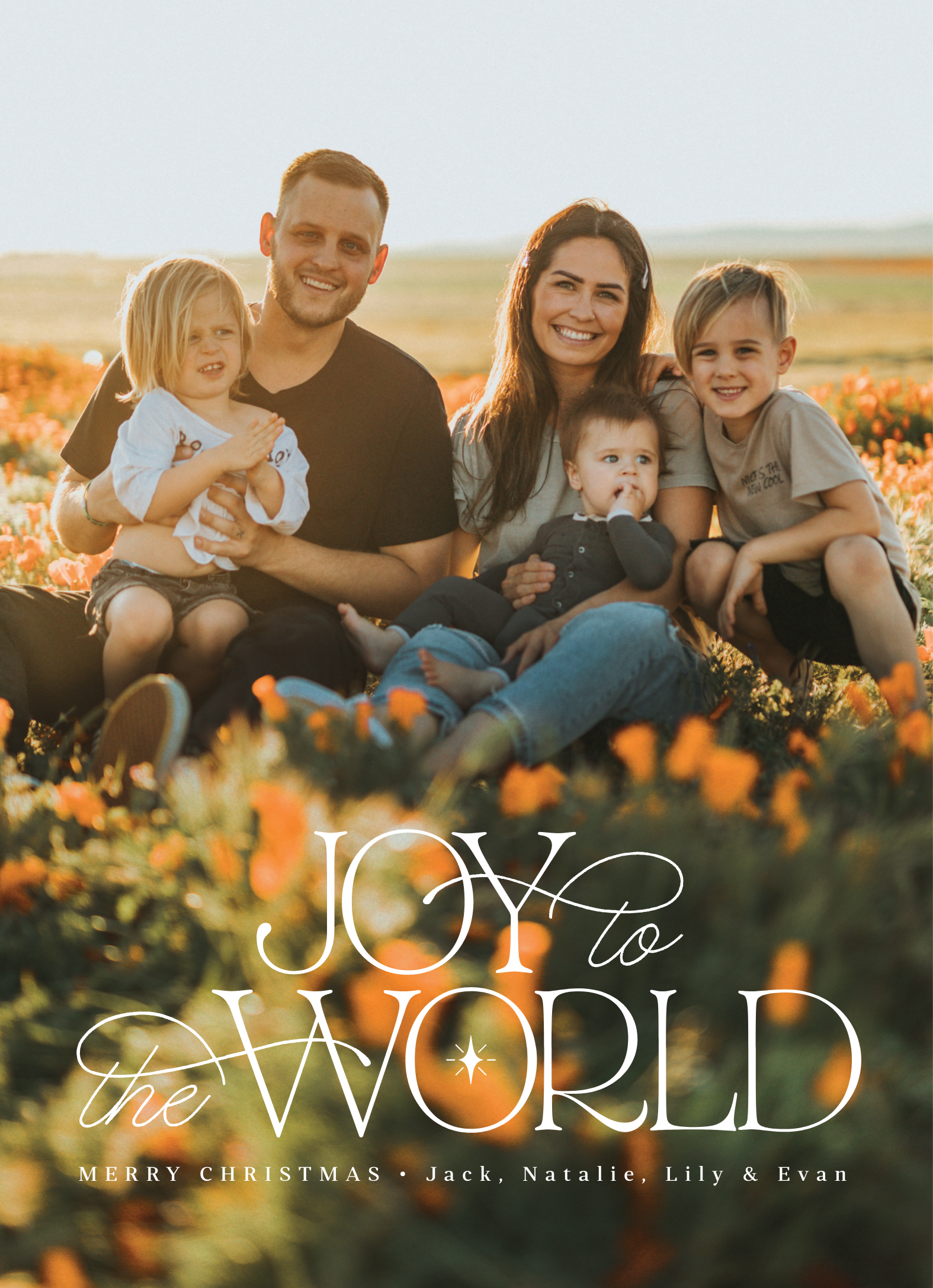 Joy To The World White
