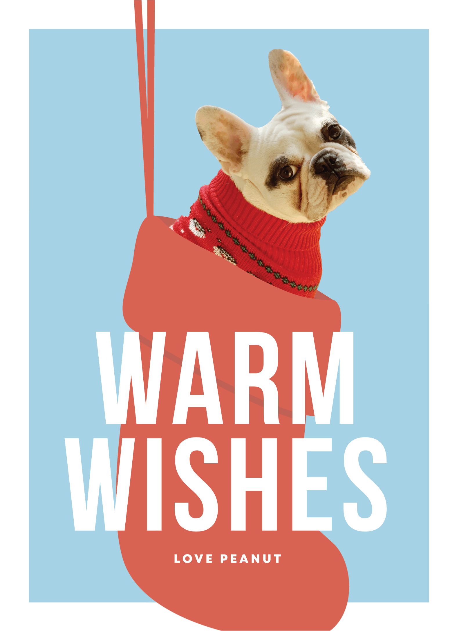 Pet Stocking