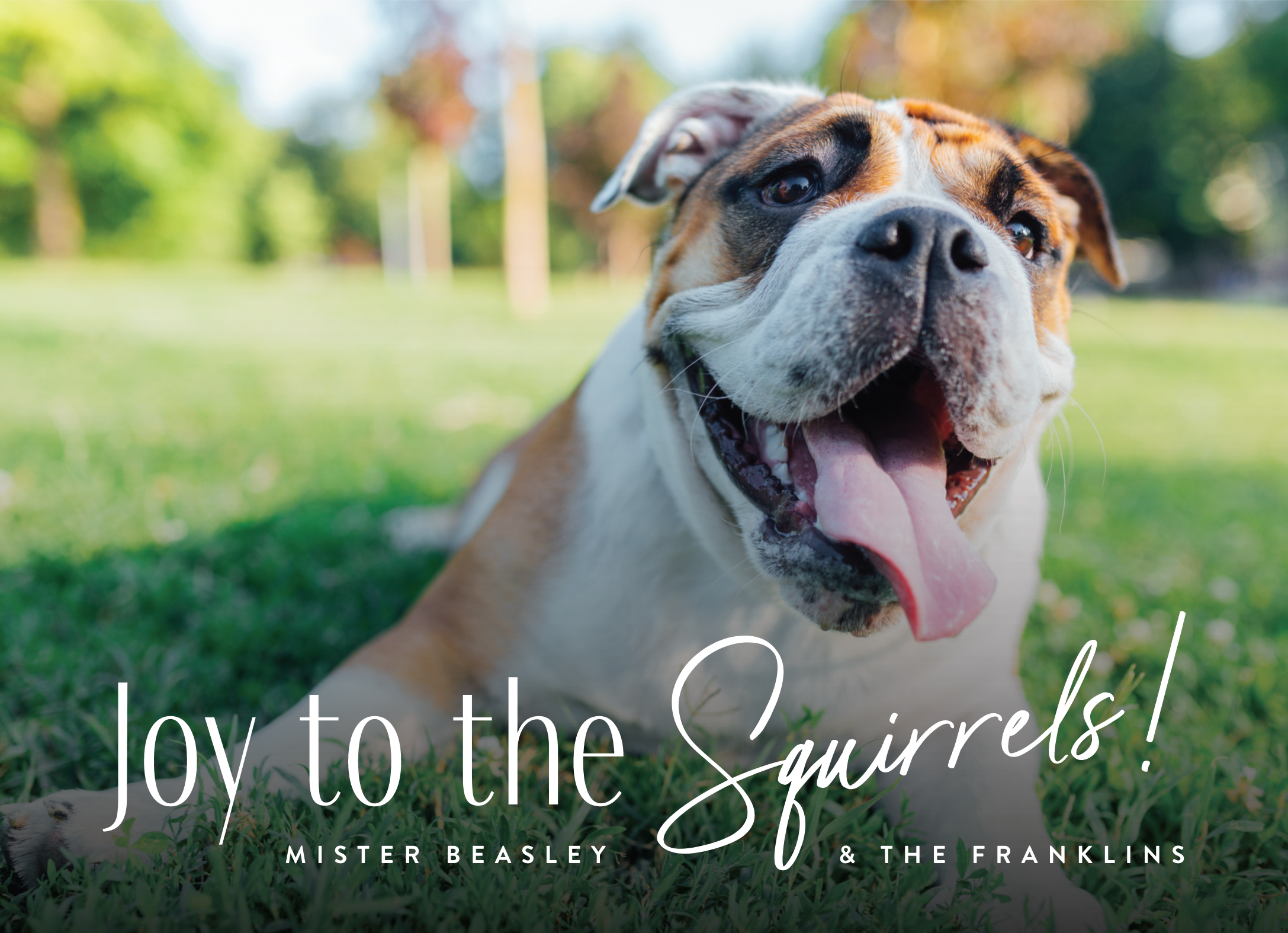 Joy To The Squirrels