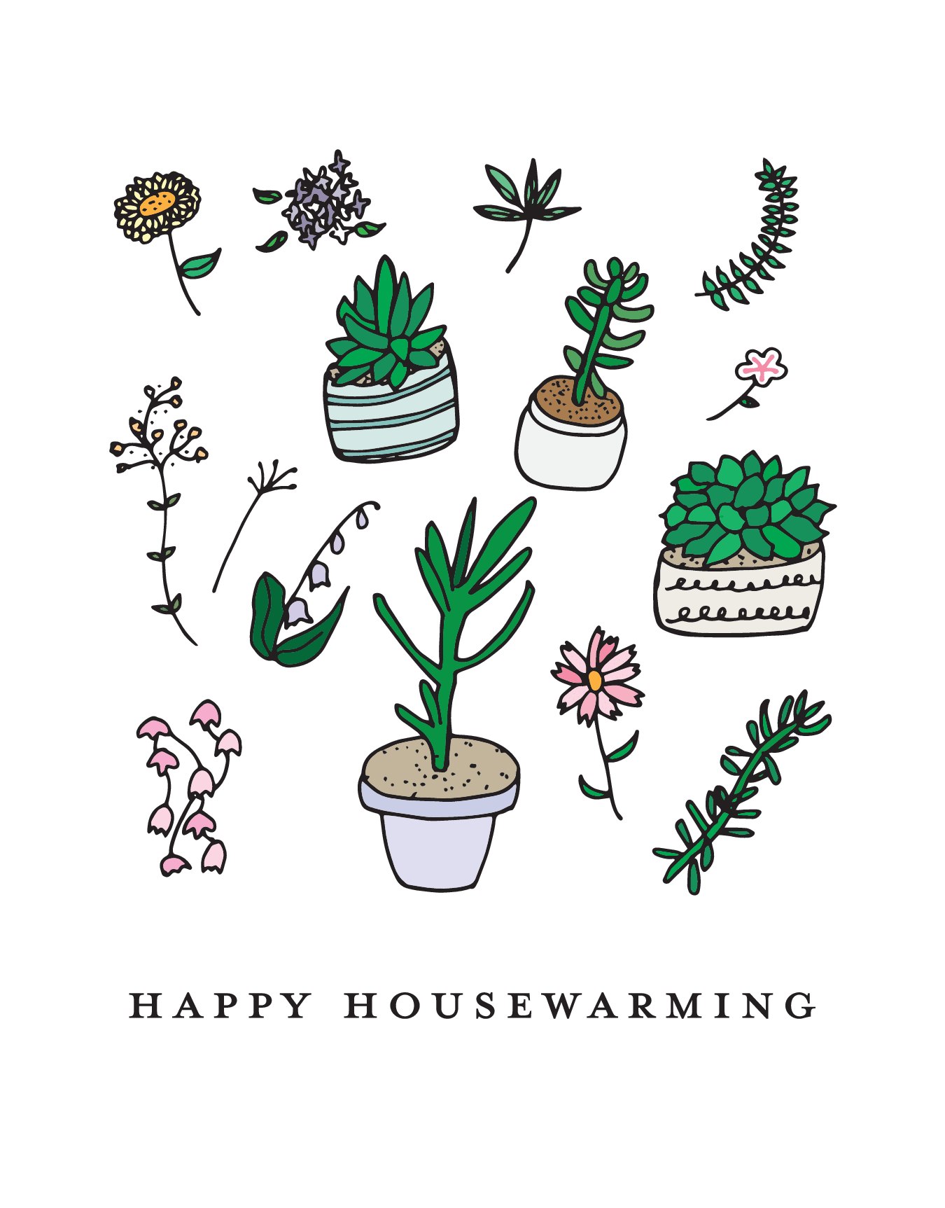 Housewarming Plants 