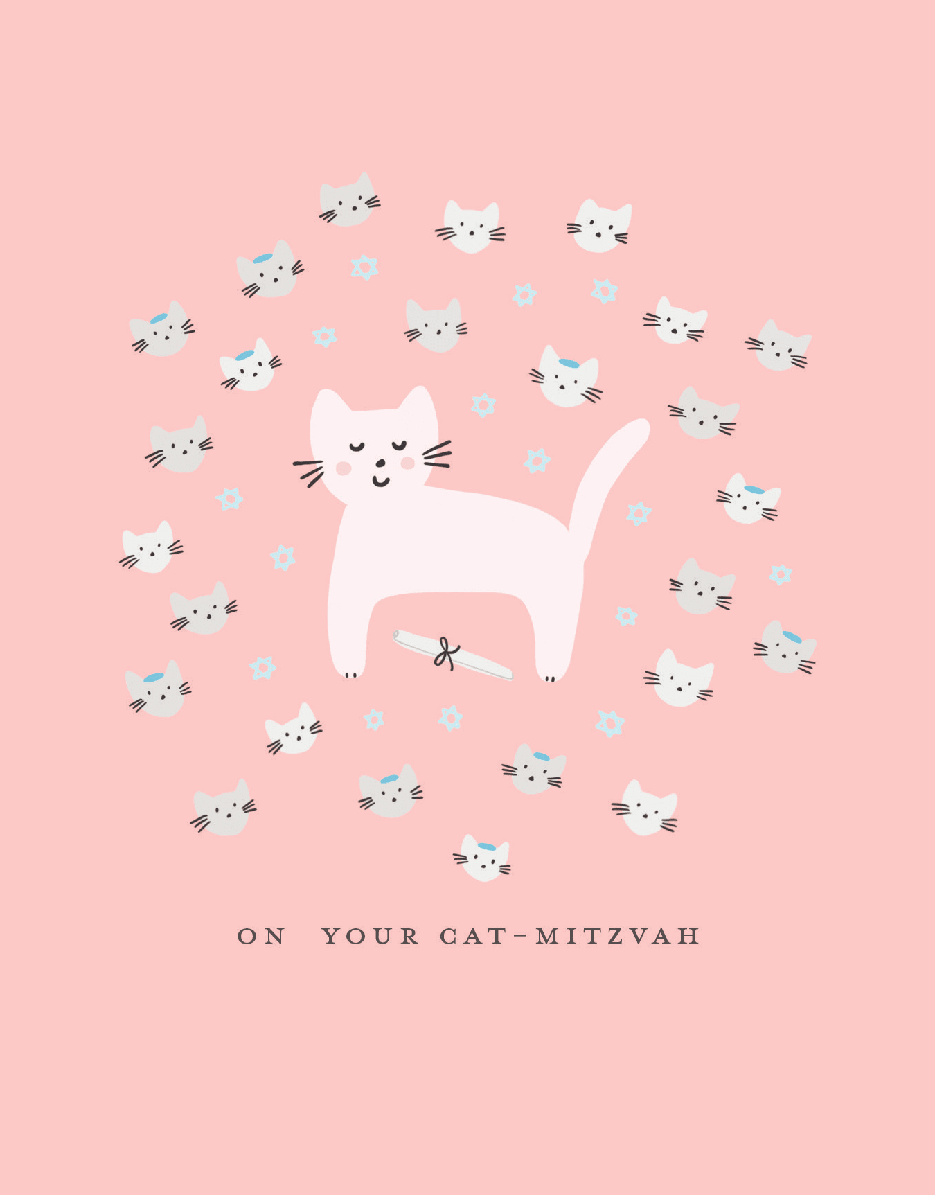 Cat Mitzvah