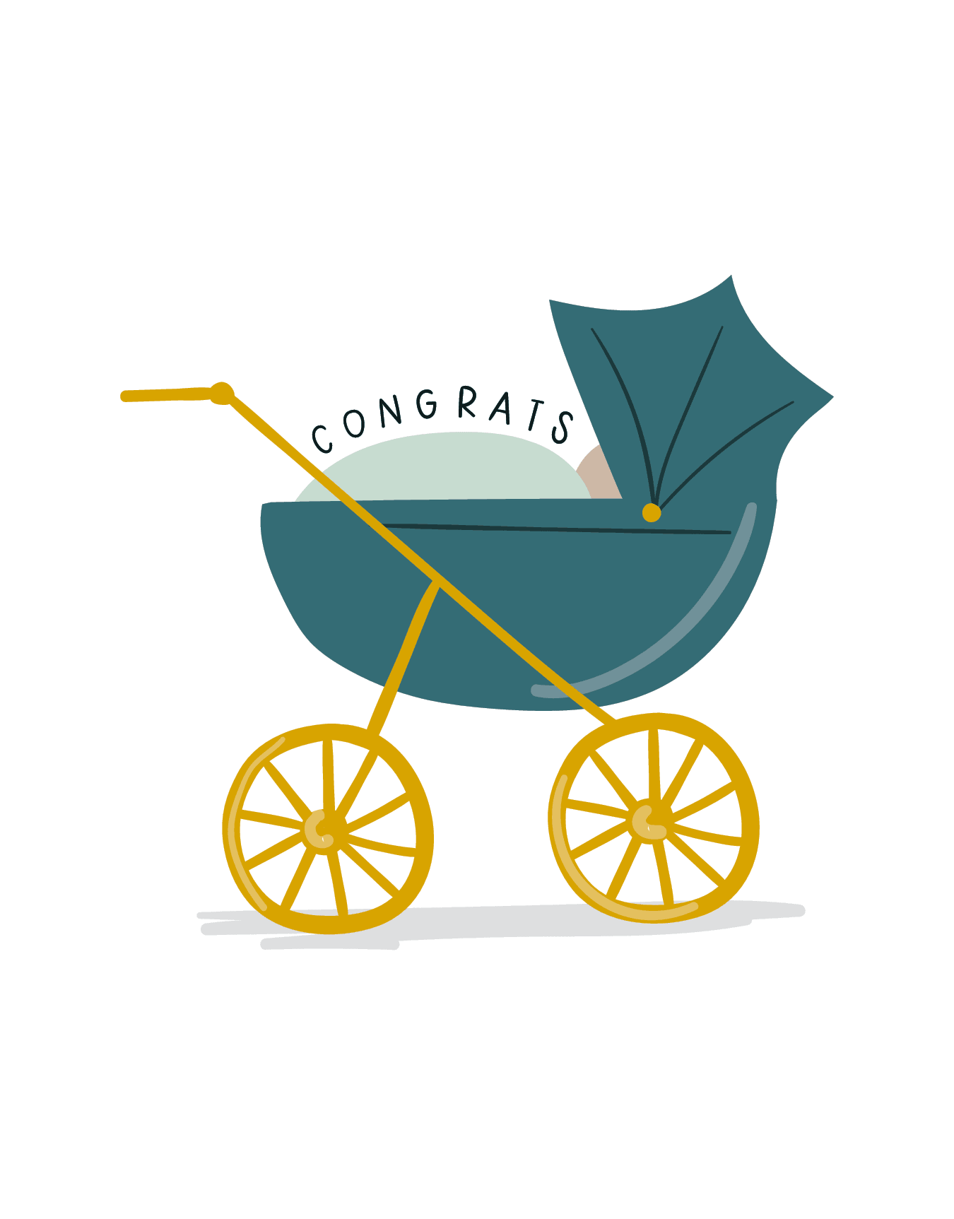 Congrats Stroller