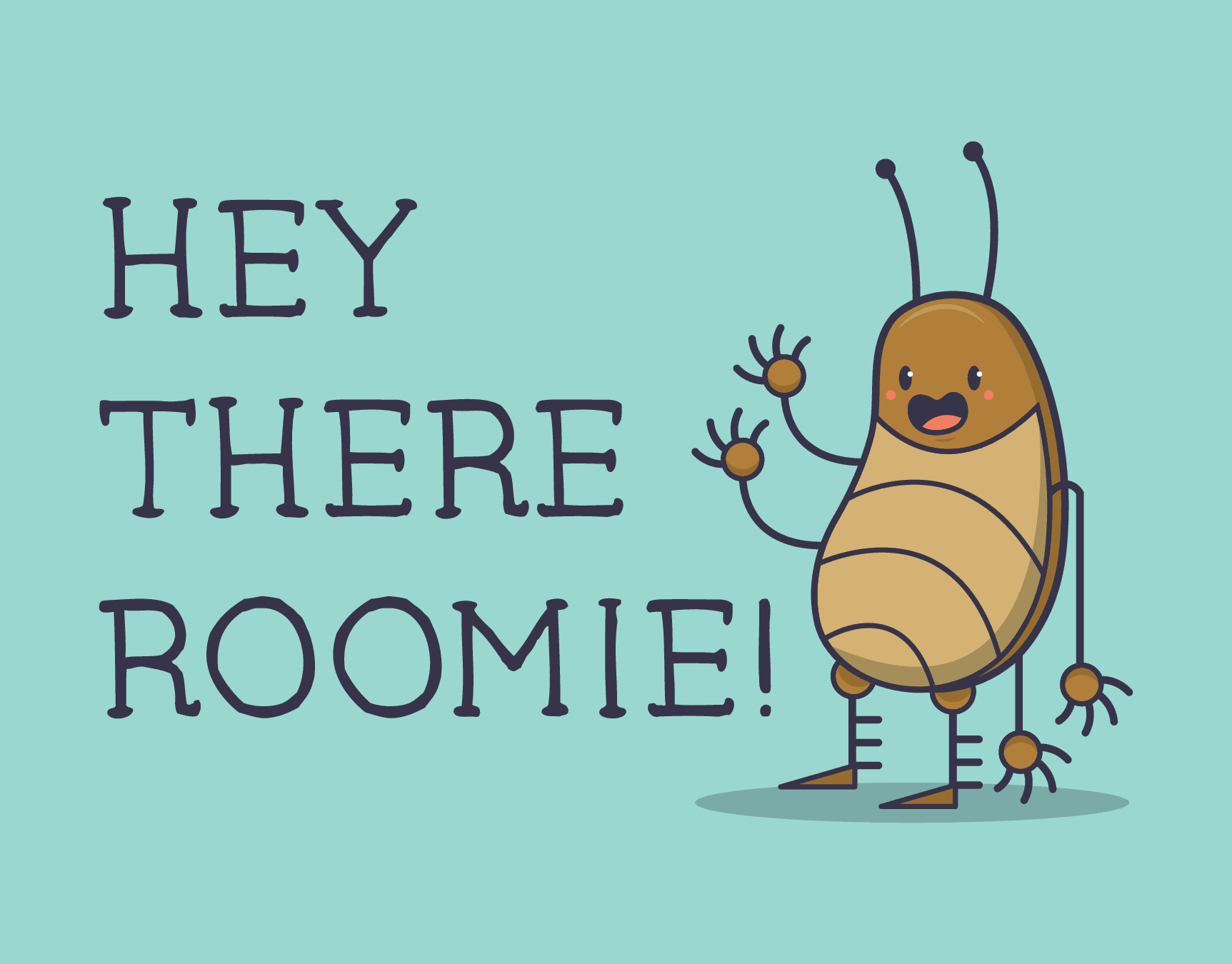 Hey Roomie