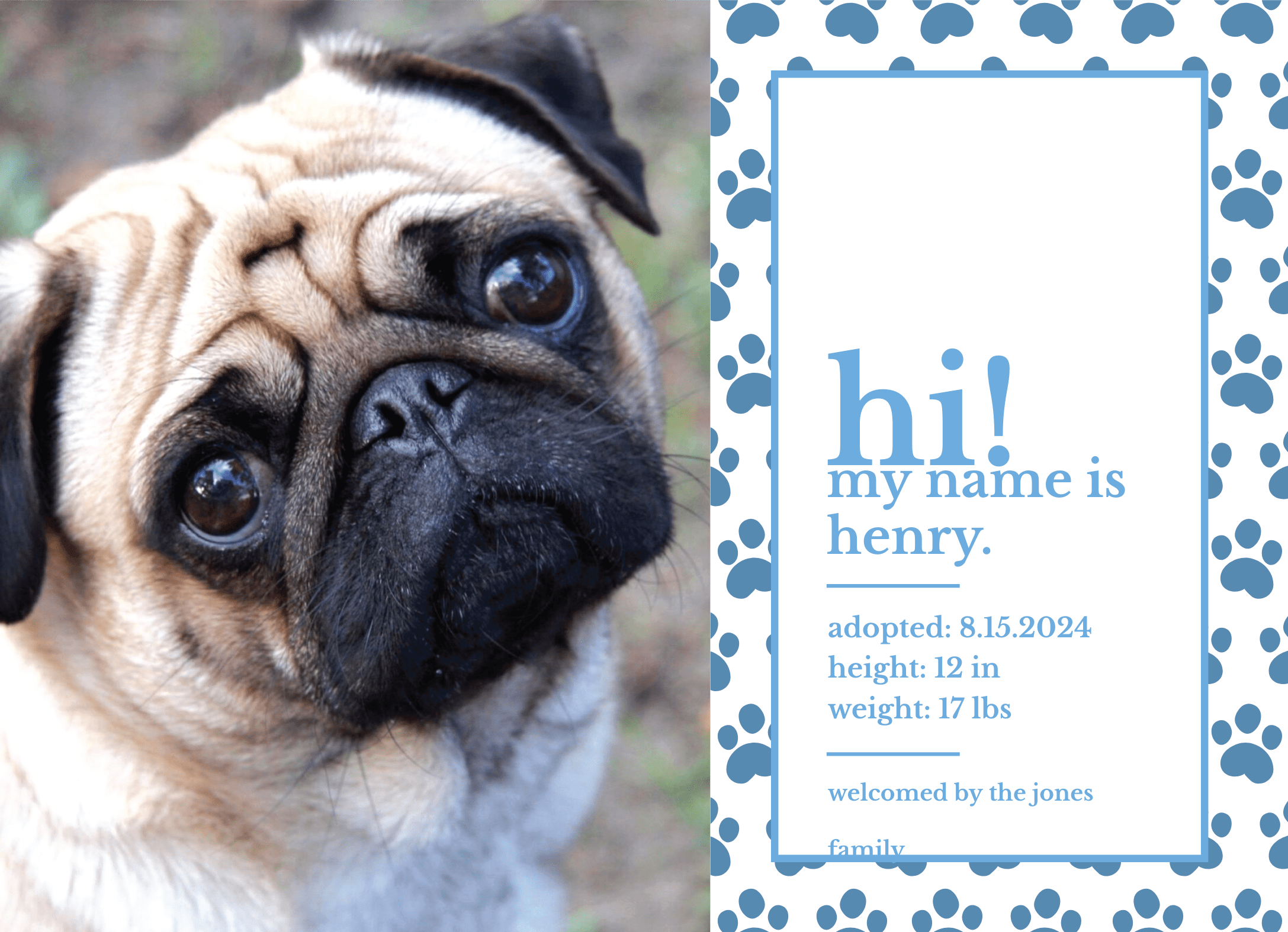 Paw Print Puppy Announcement