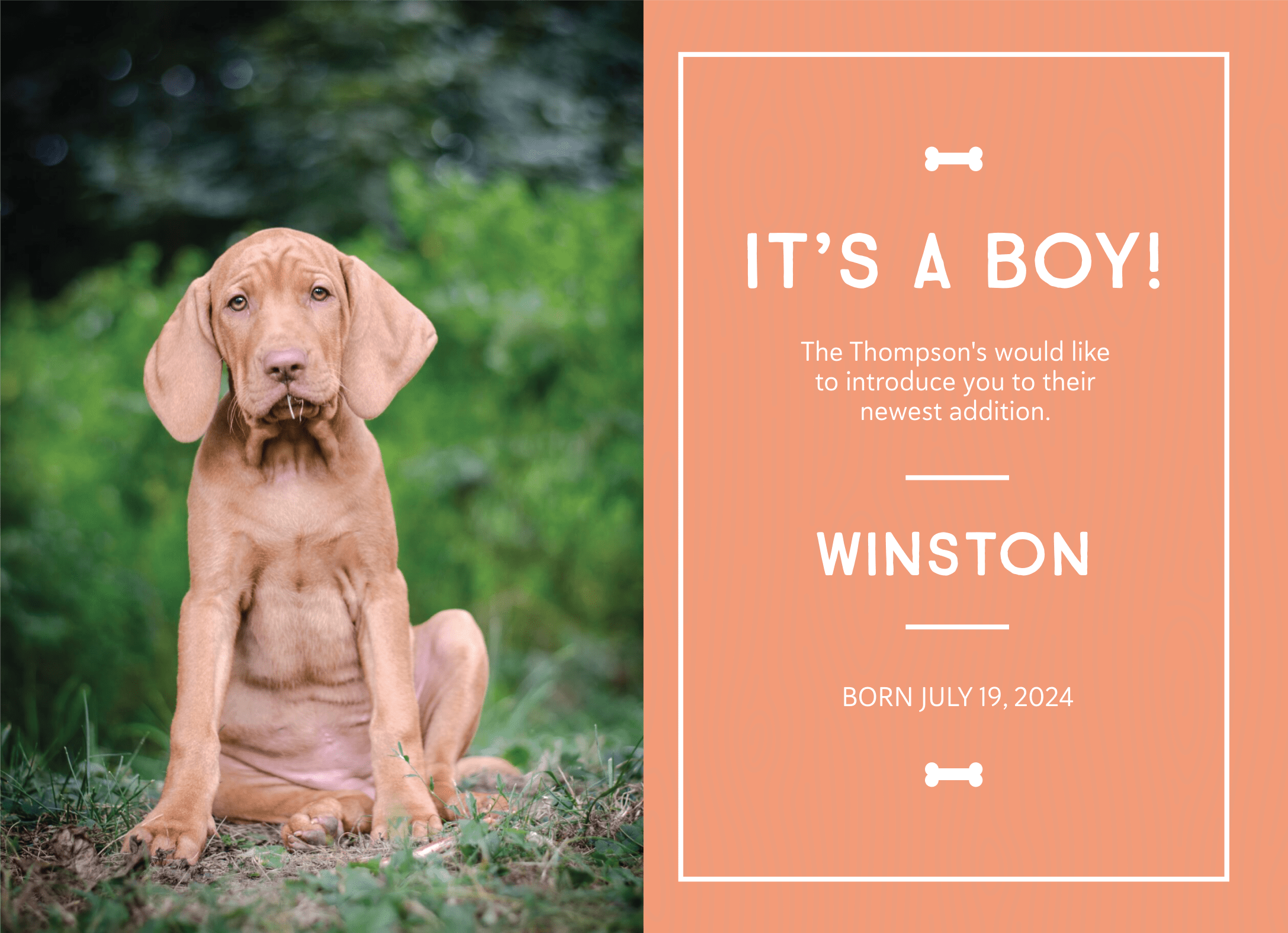 New Puppy Announcement