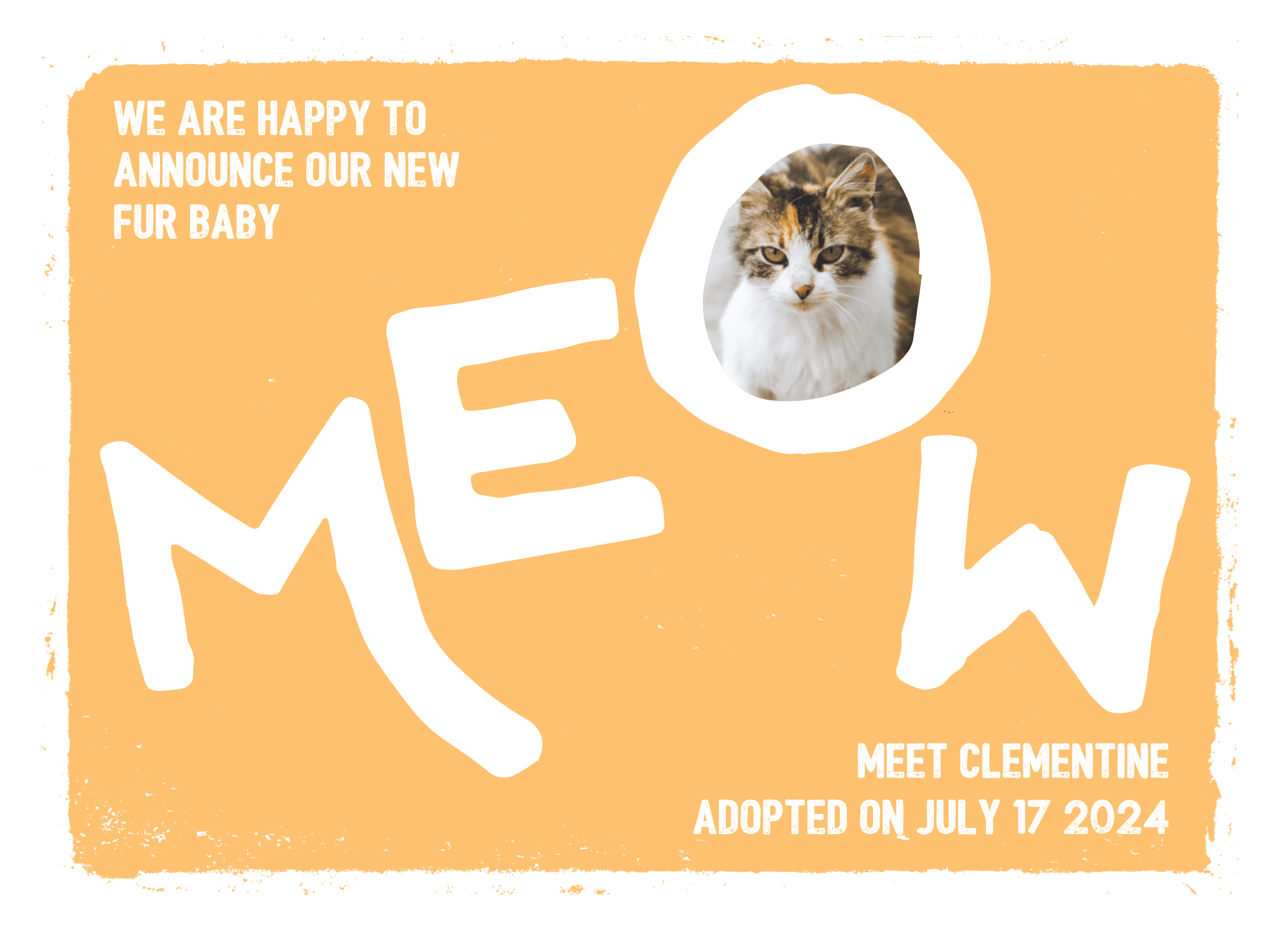 Meow New Cat