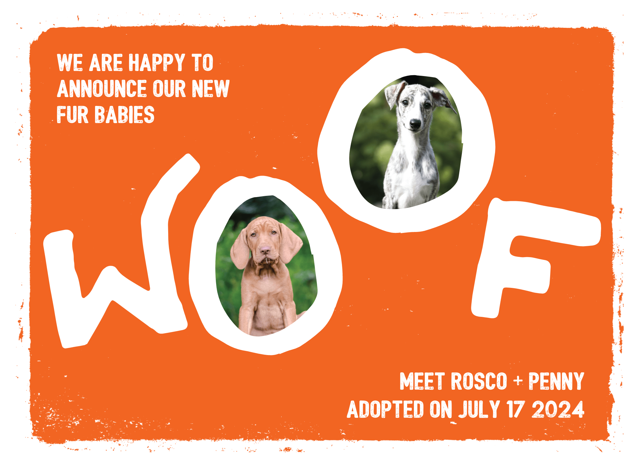 Woof Puppy Announcement