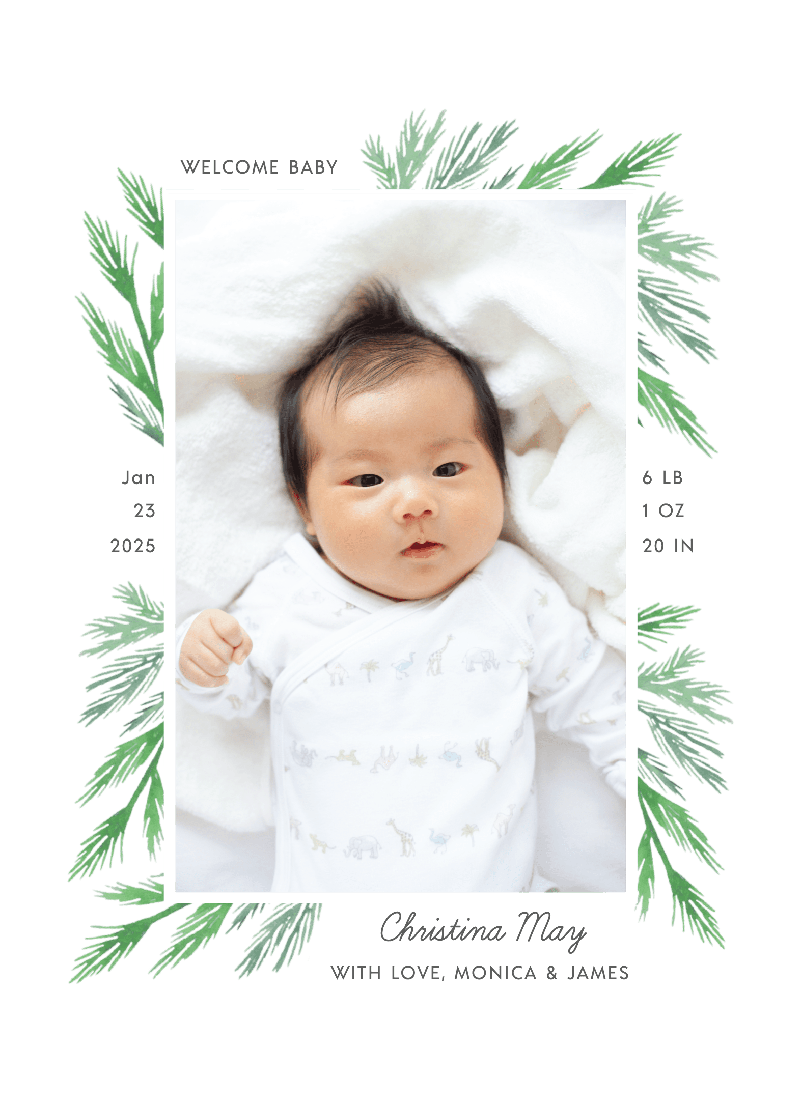 Pine Branch Birth Announcement