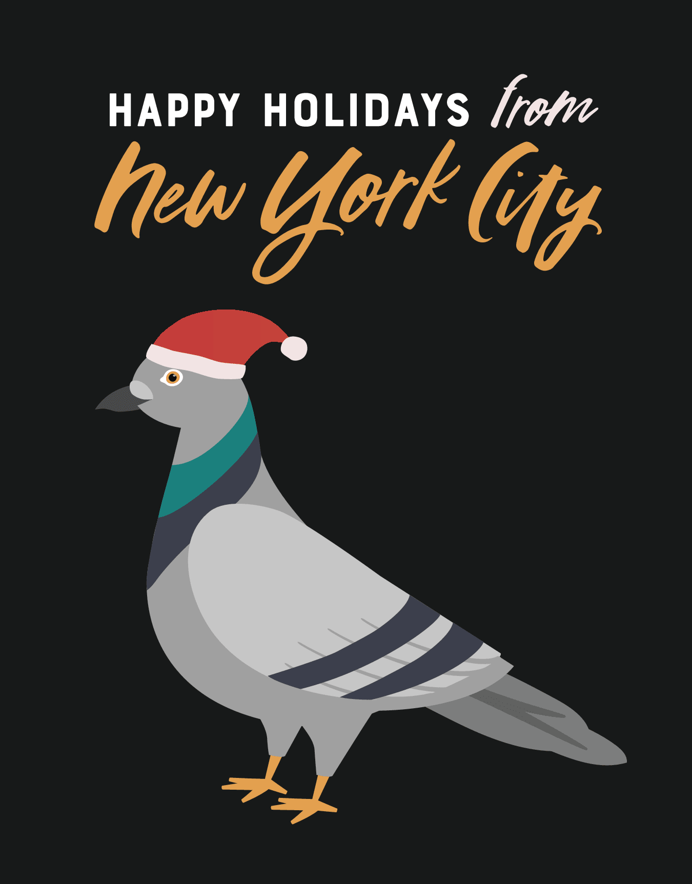 New York Pigeon