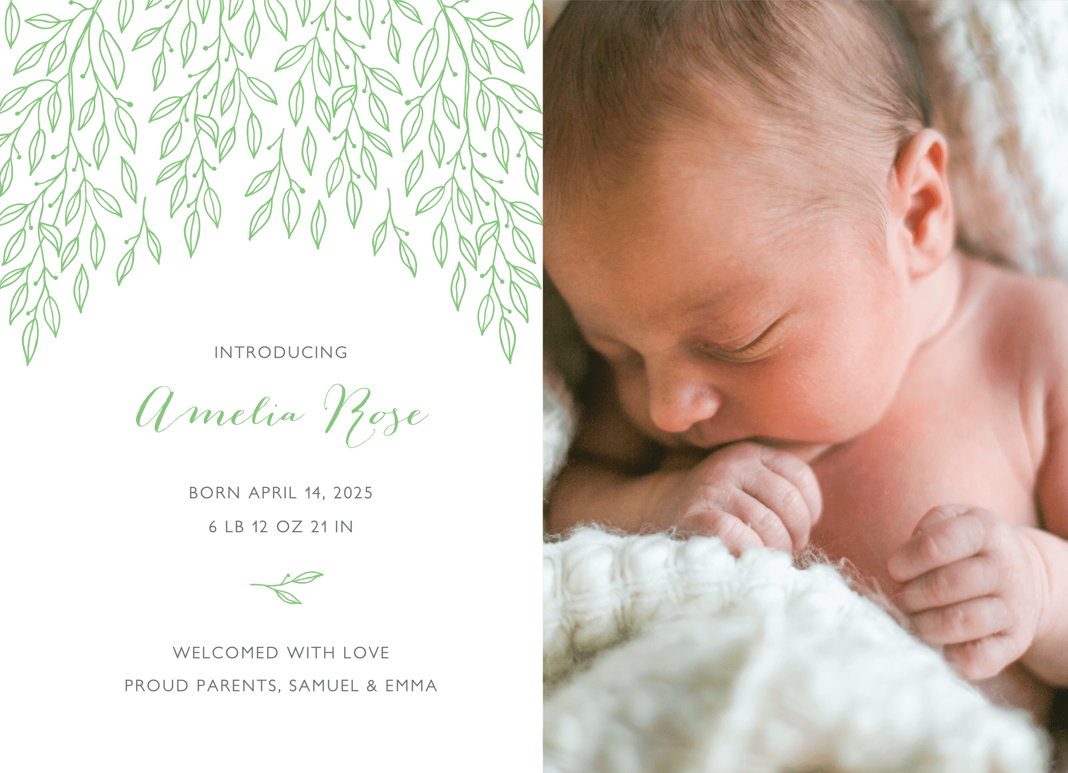 Birch Tree Leaves Announcement