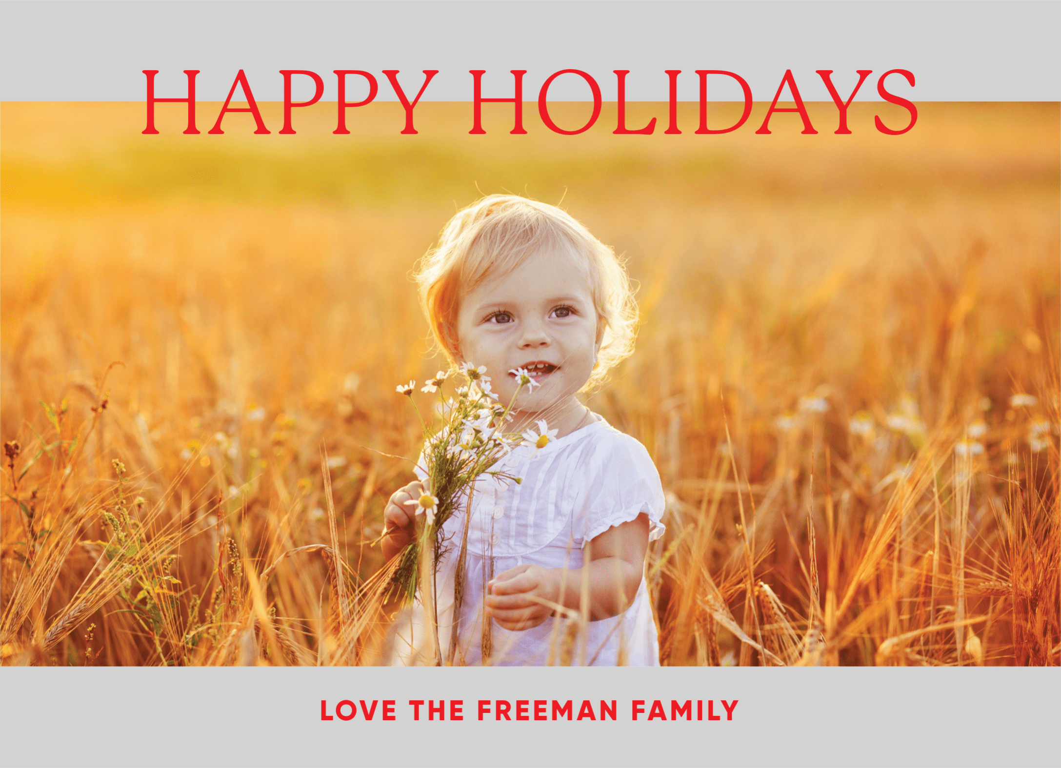 Gray Stripe Holidays