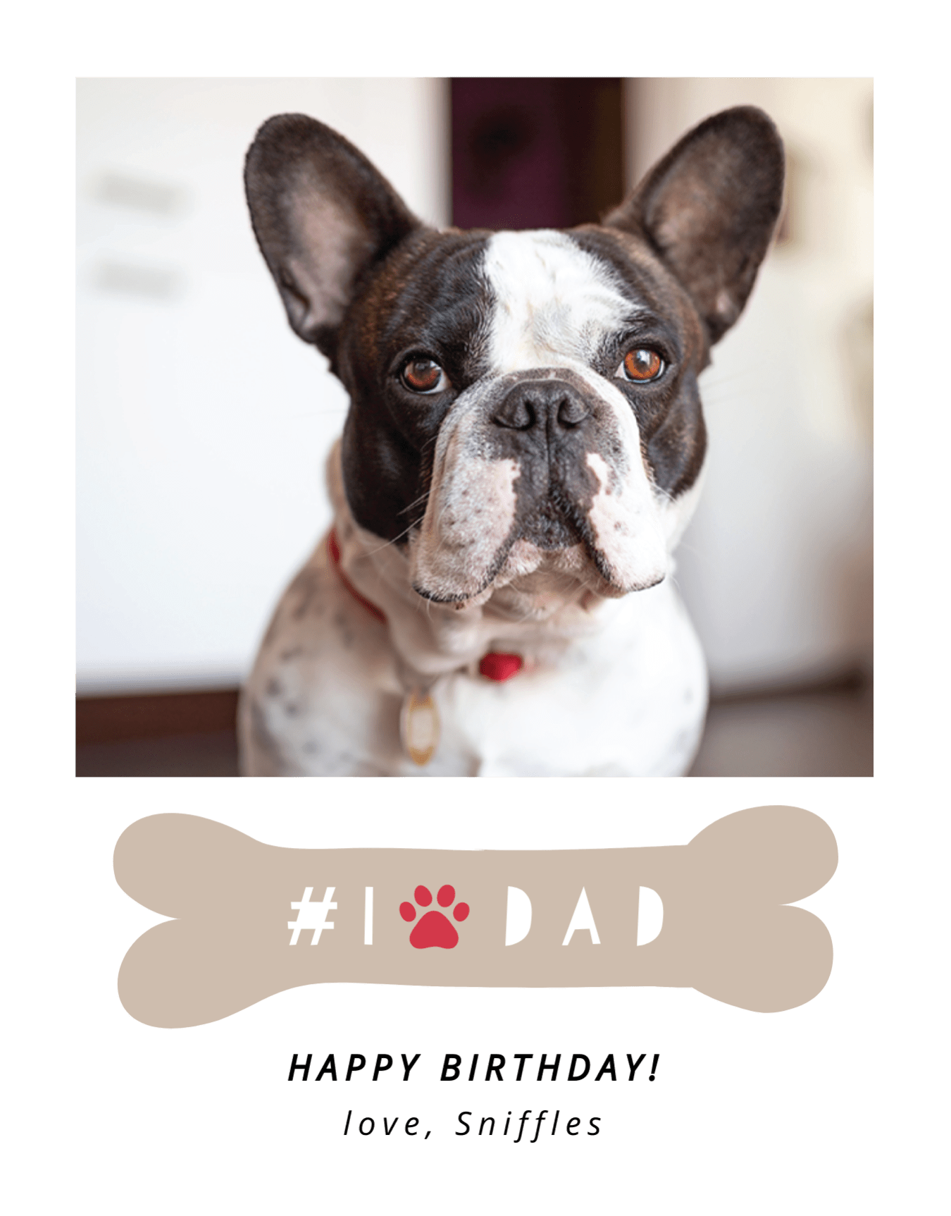 Dog Dad Birthday
