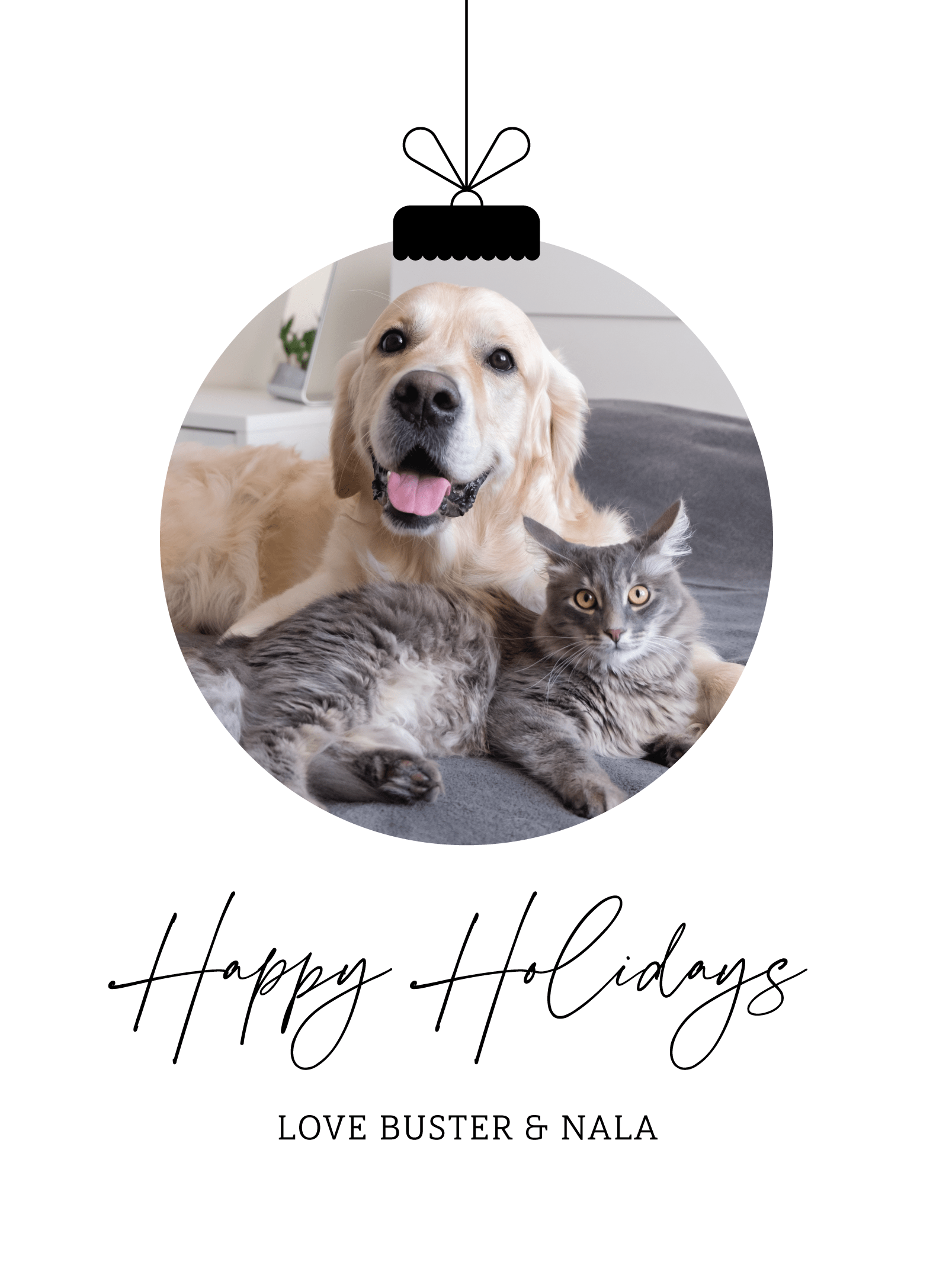 Pets Ornament 