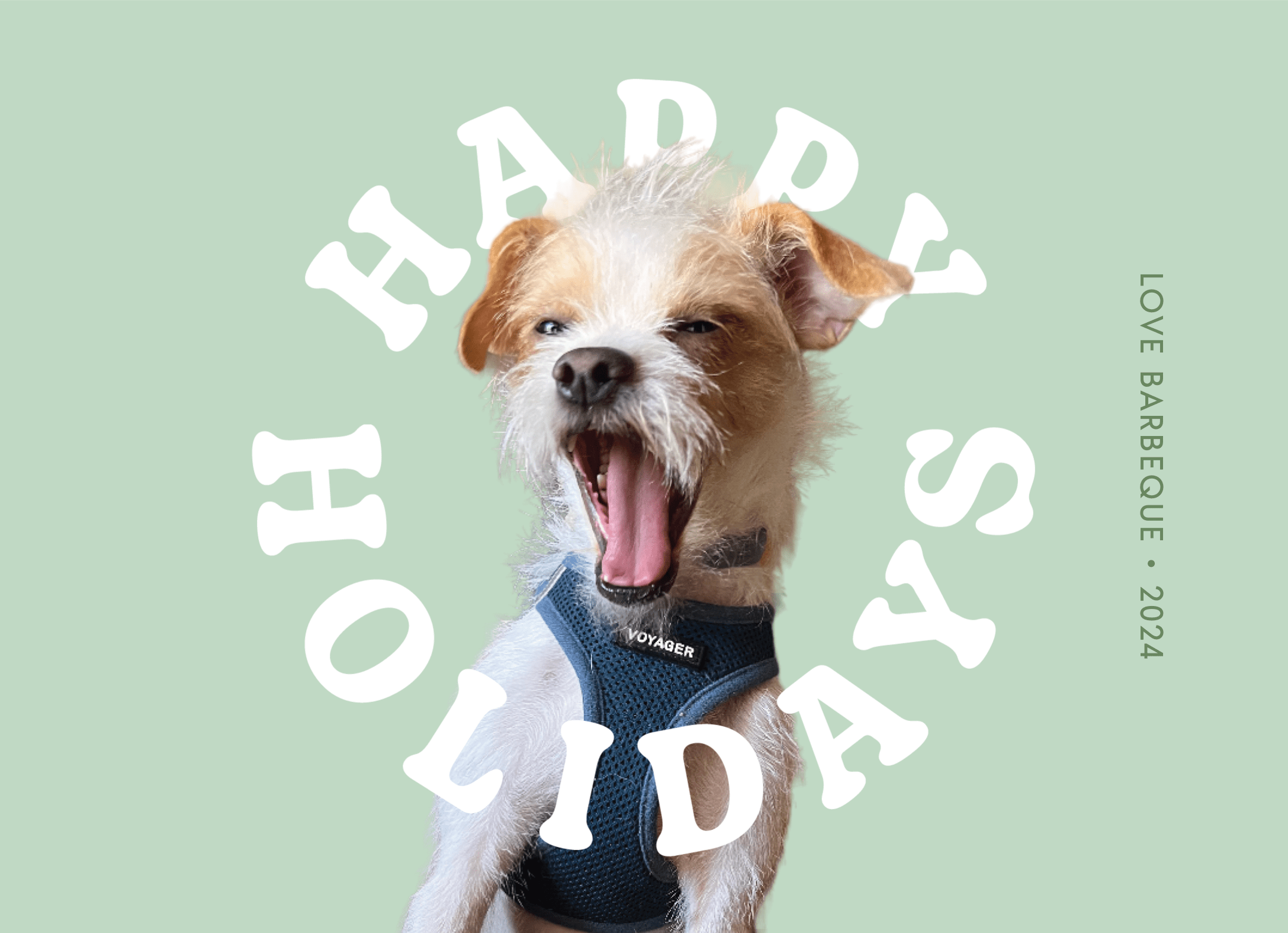 All Around Holiday Pets