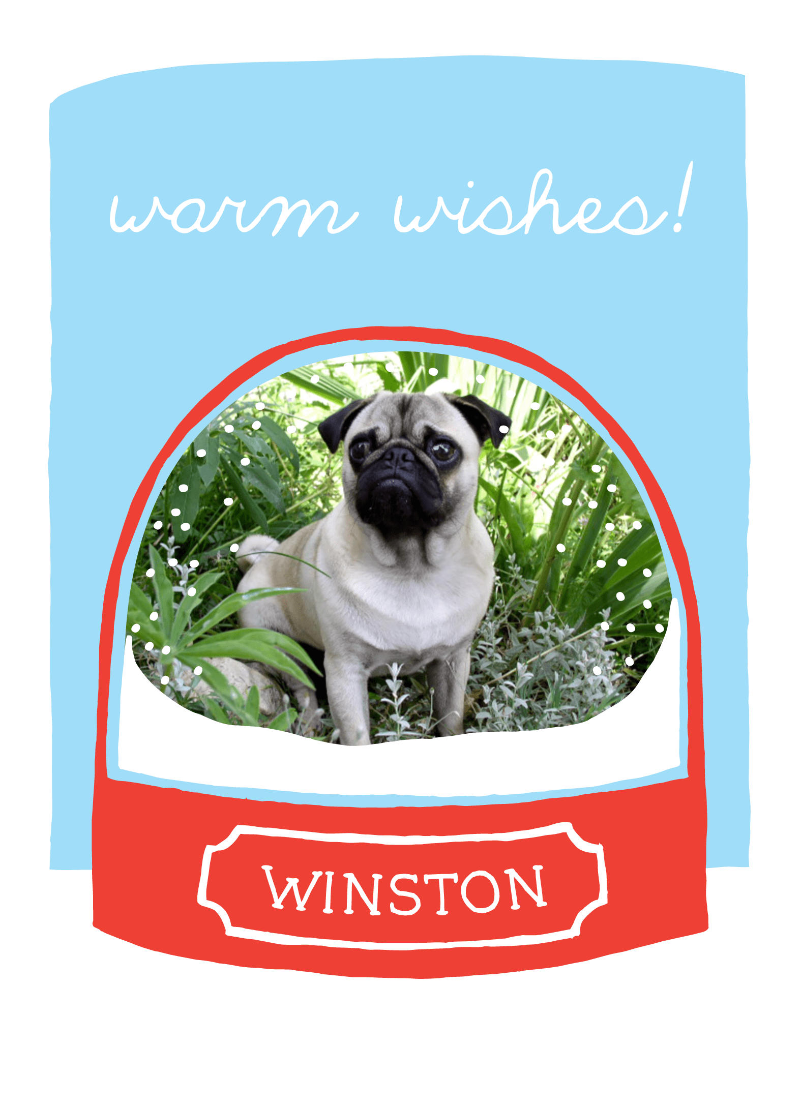 Pet Warm Wishes