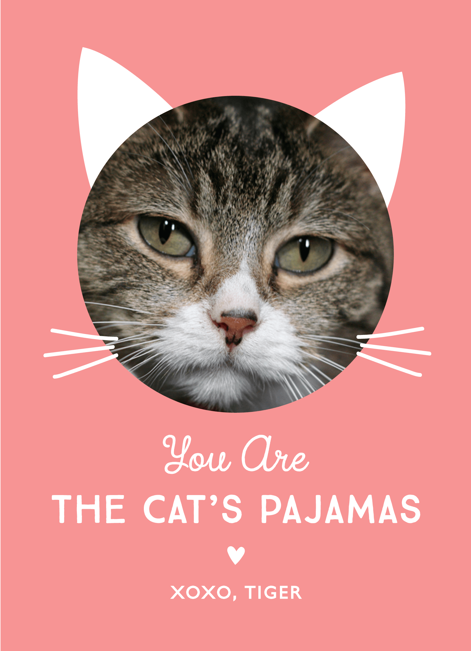 Cat's Pajamas