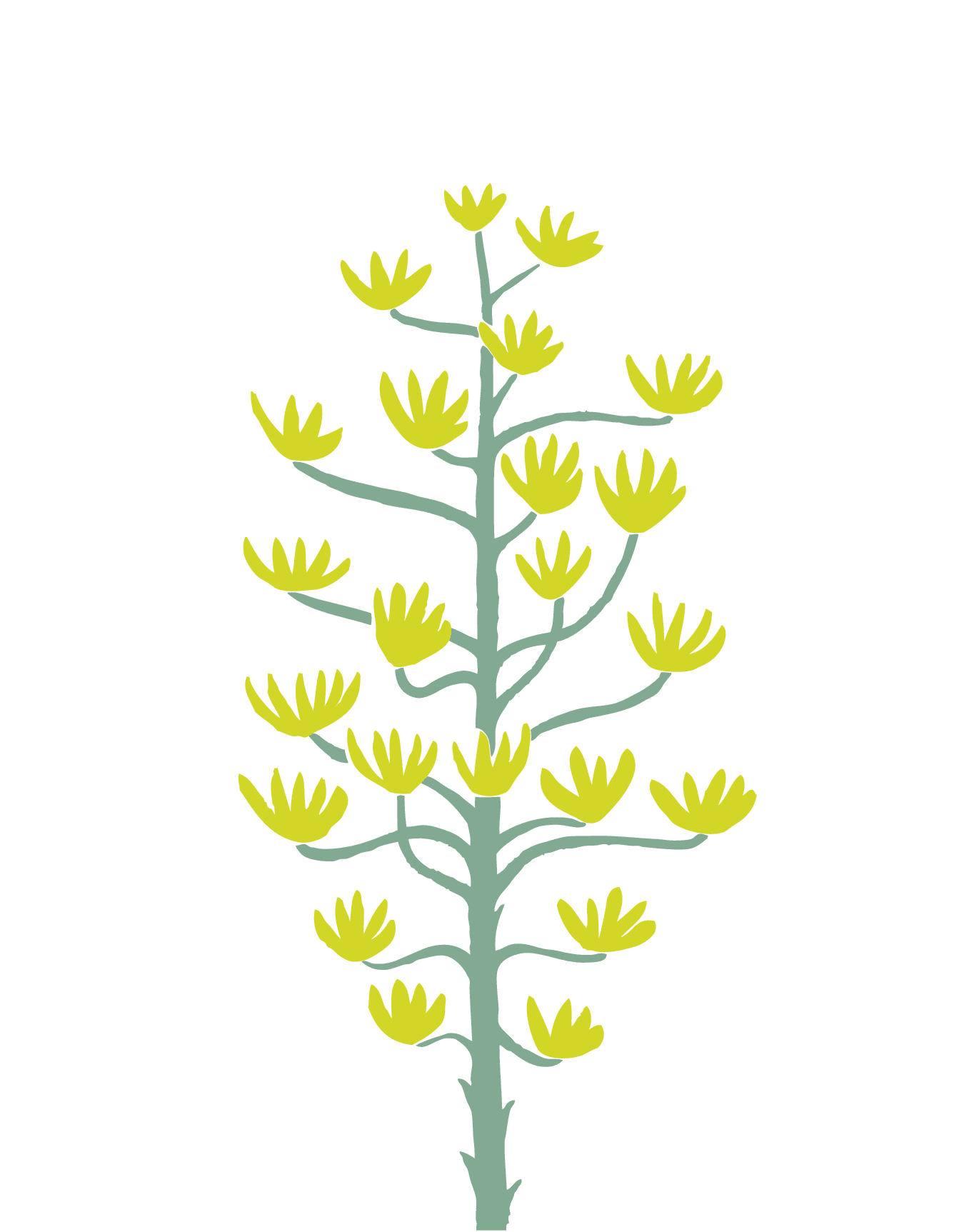 Agave Flower