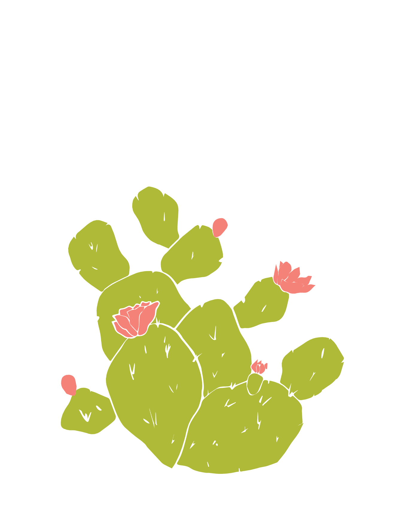 Prickly Pear Flower