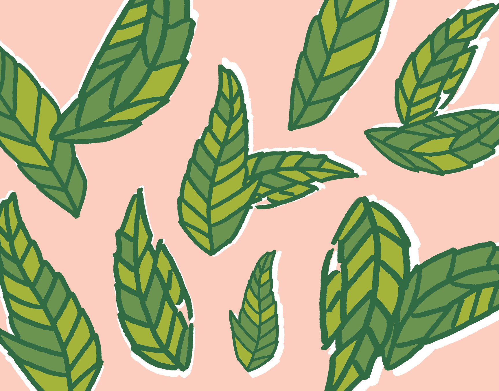 Blank Pink and Palm