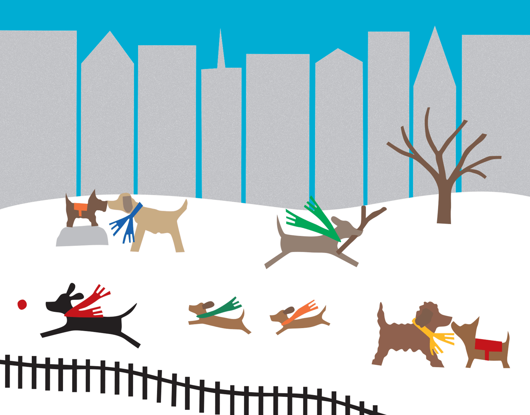 Dog Park