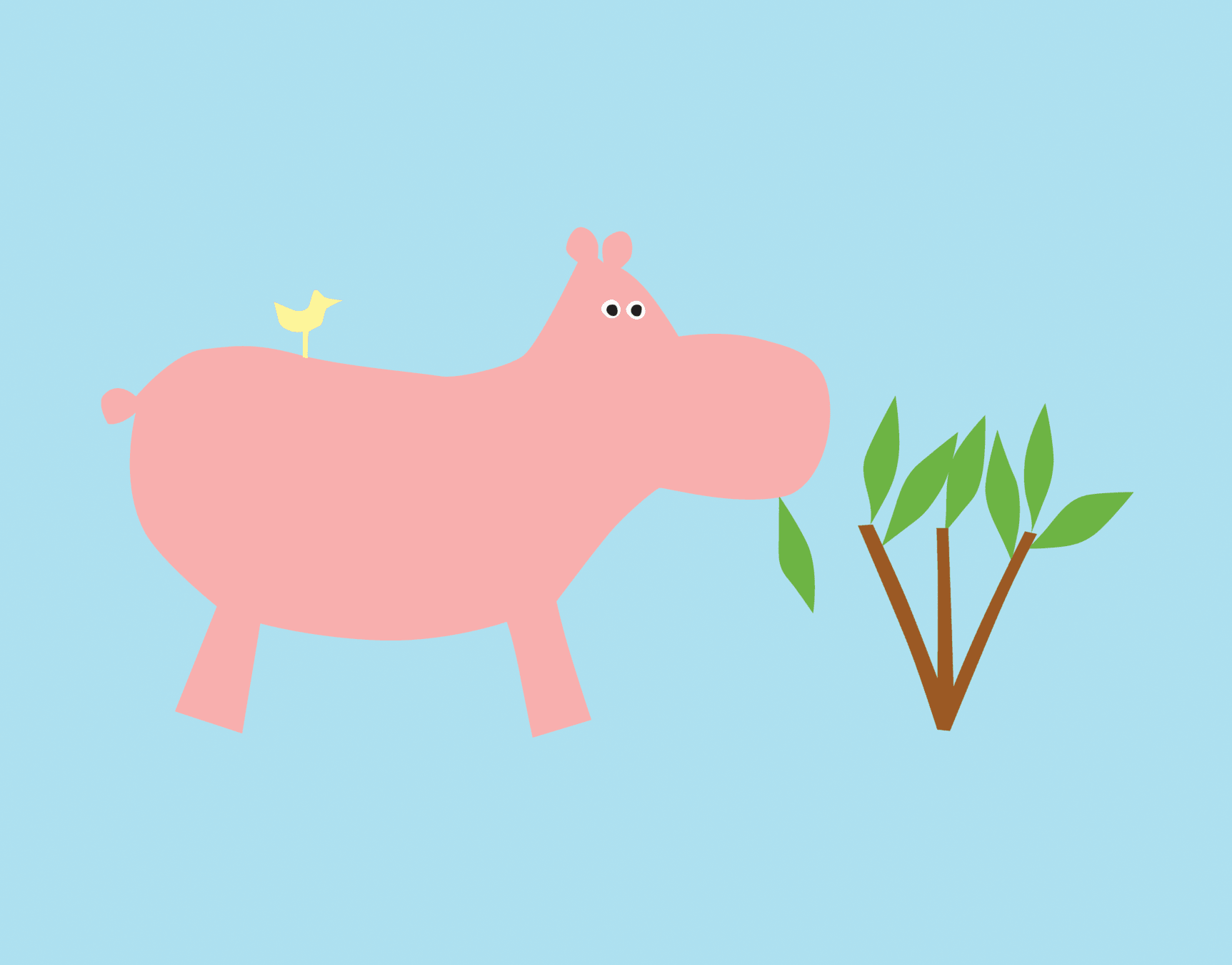 Hippo