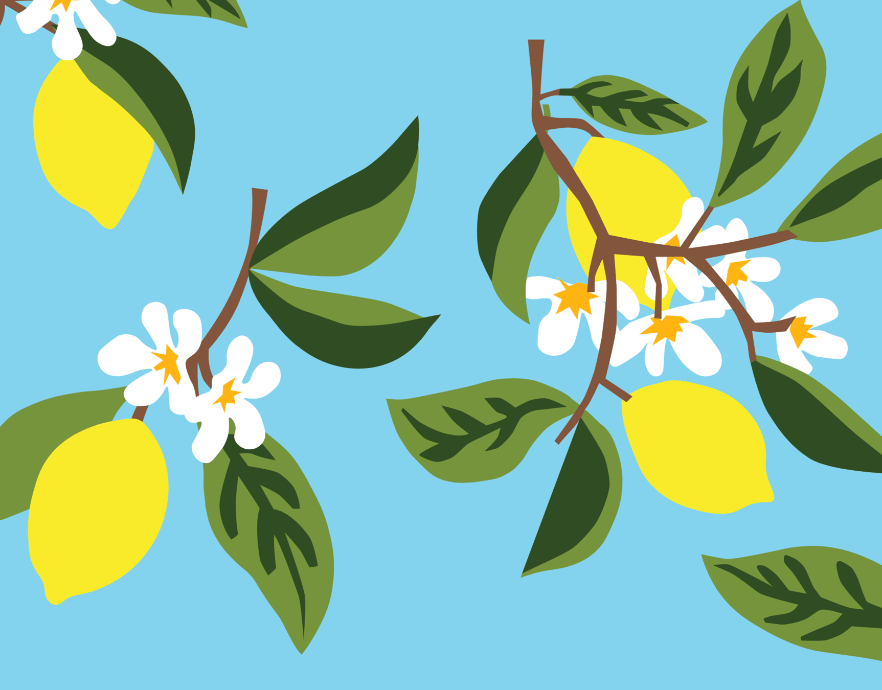 Lemon Tree