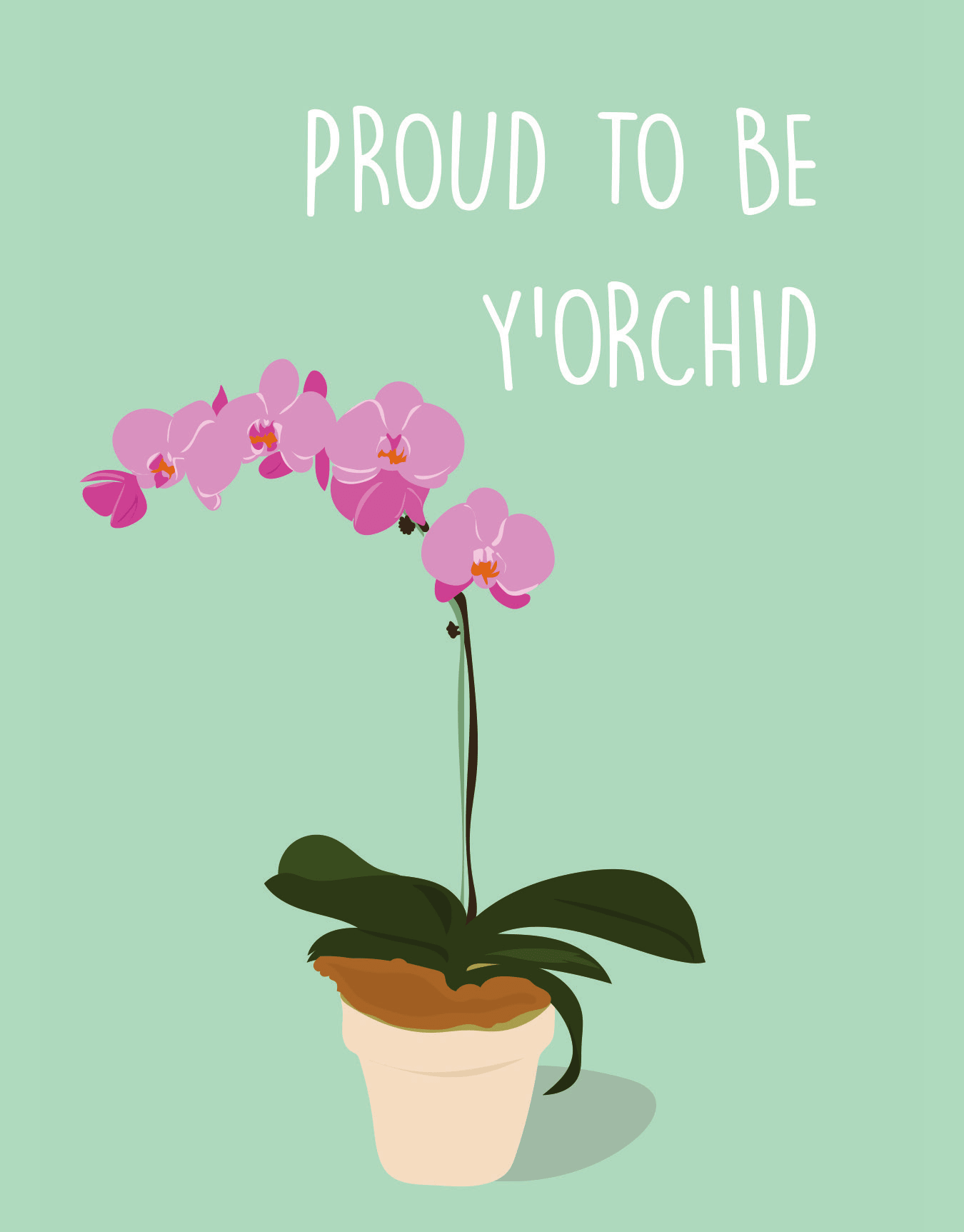Orchid