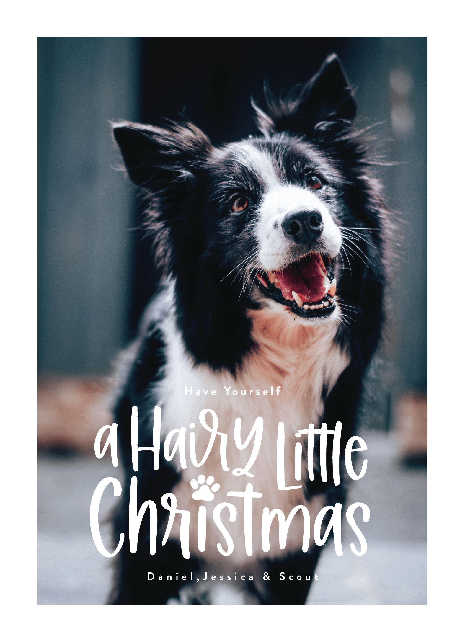 Hairy Little Christmas