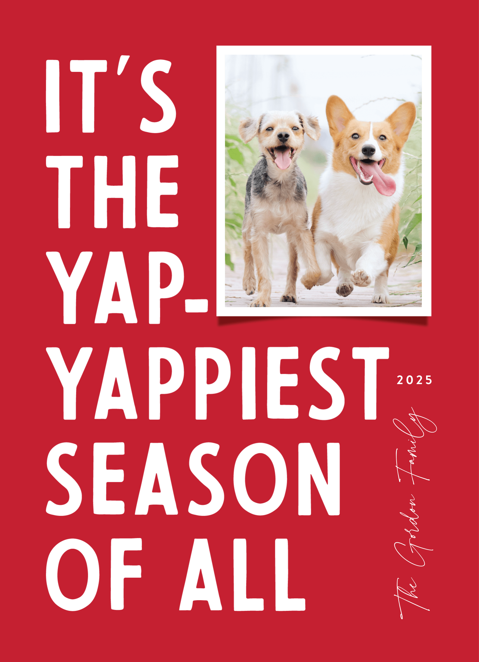 Yappiest Season