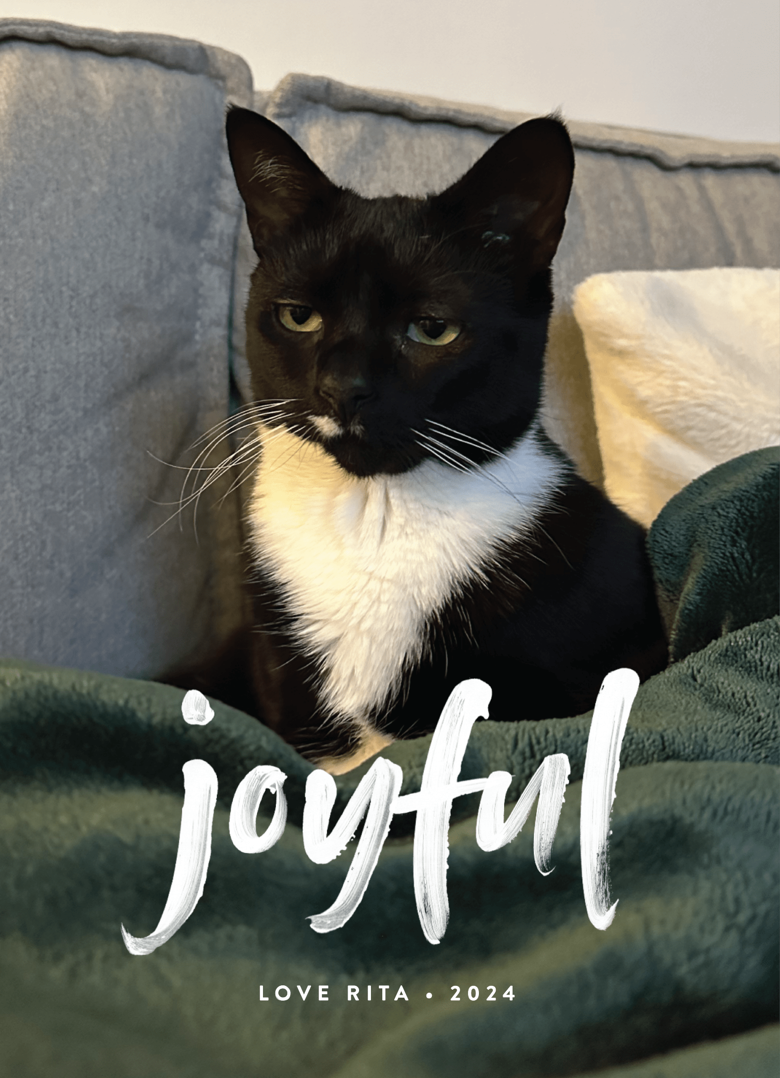 Pets Painterly Message