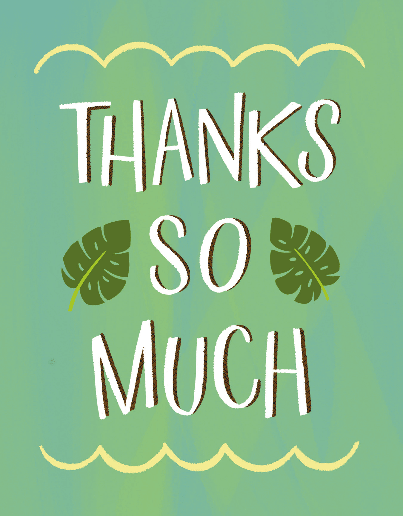Thanks Monstera