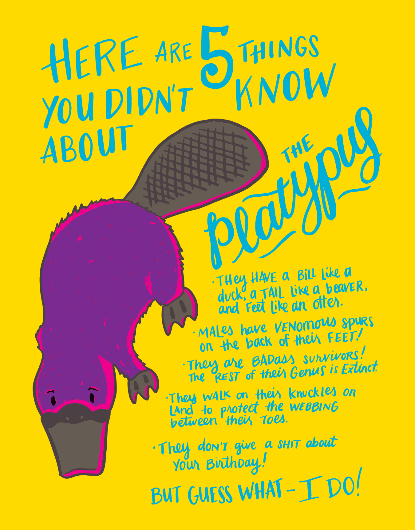 Platypus
