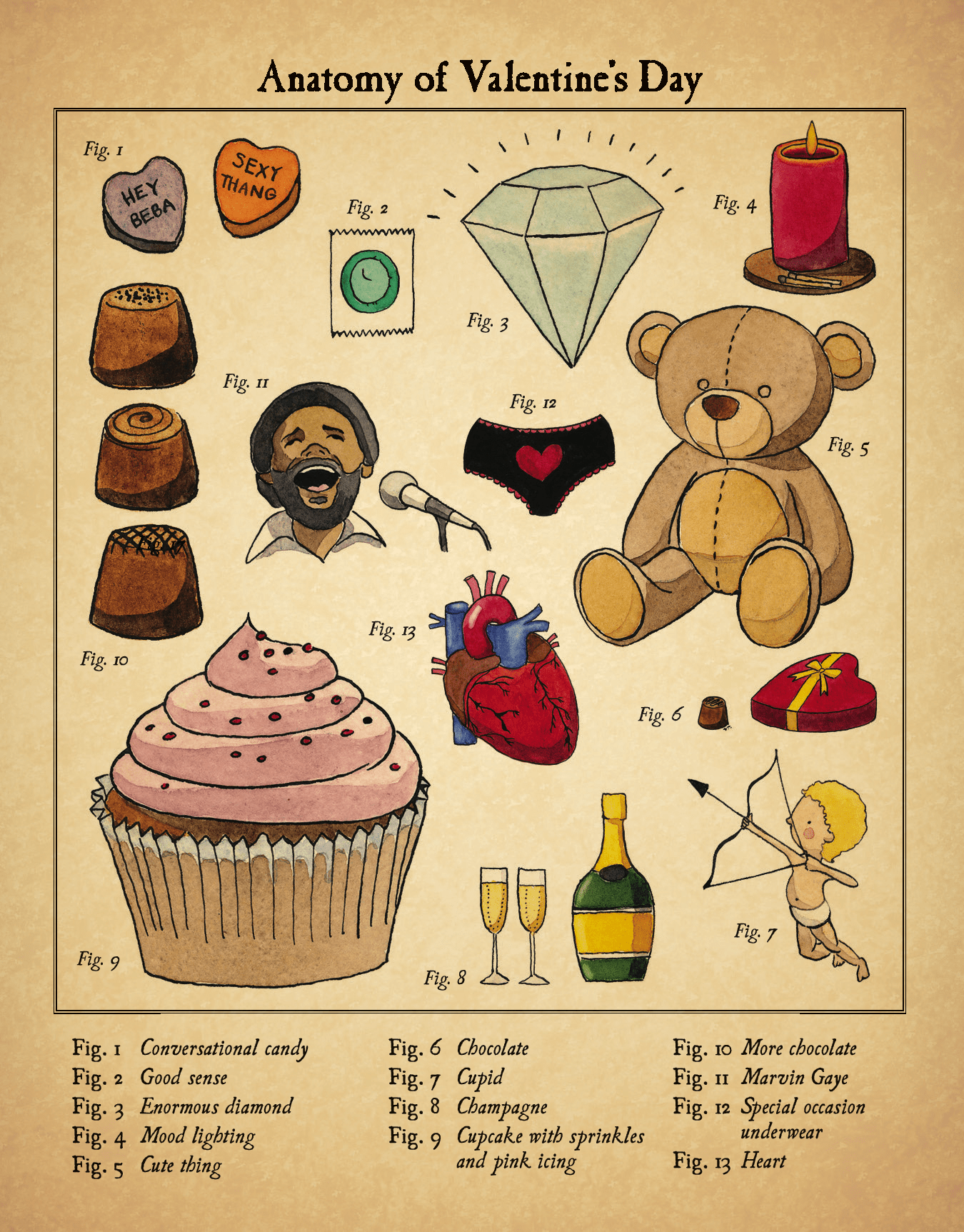 Valentine's Day Anatomy