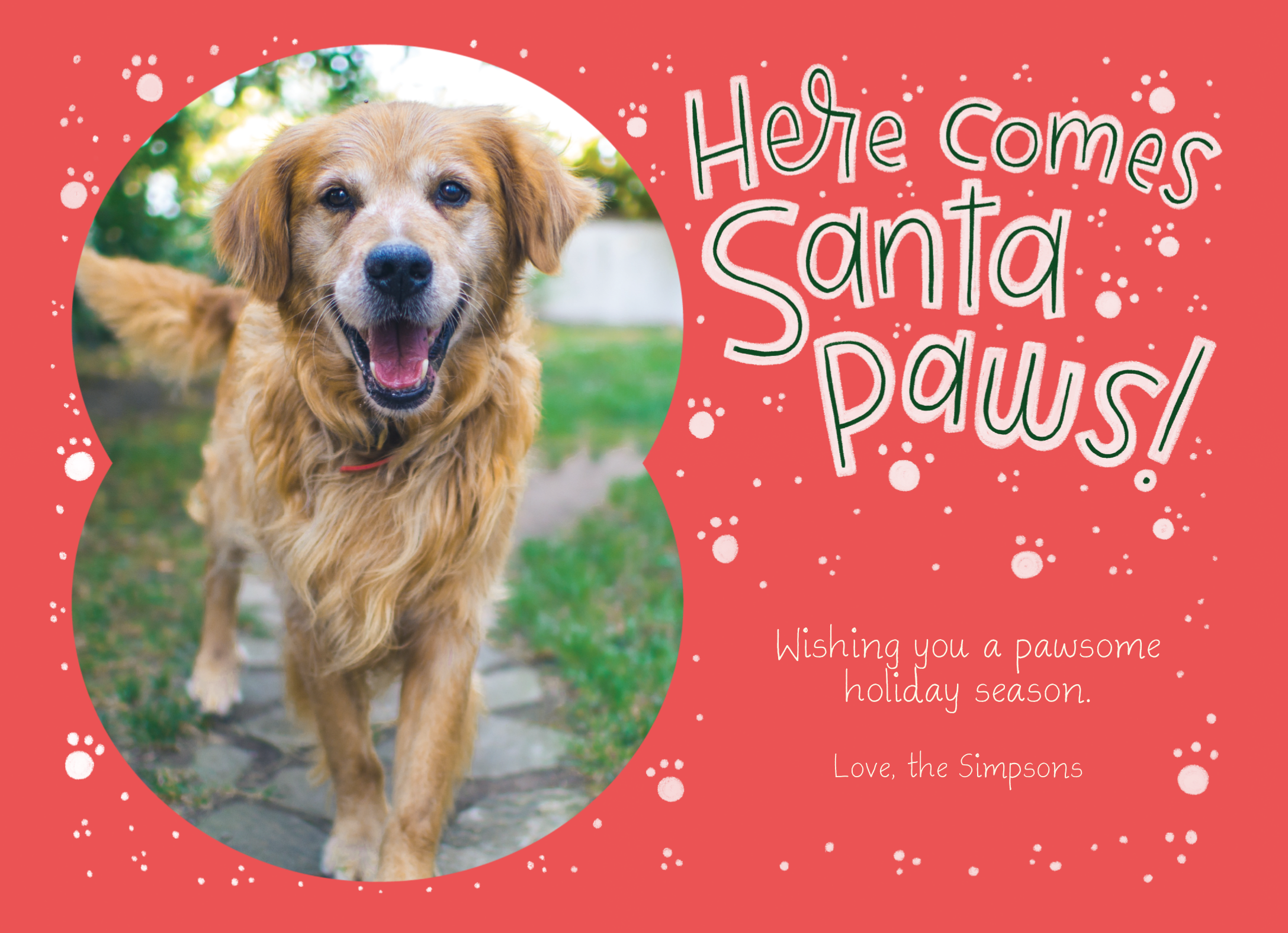 Santa Paws