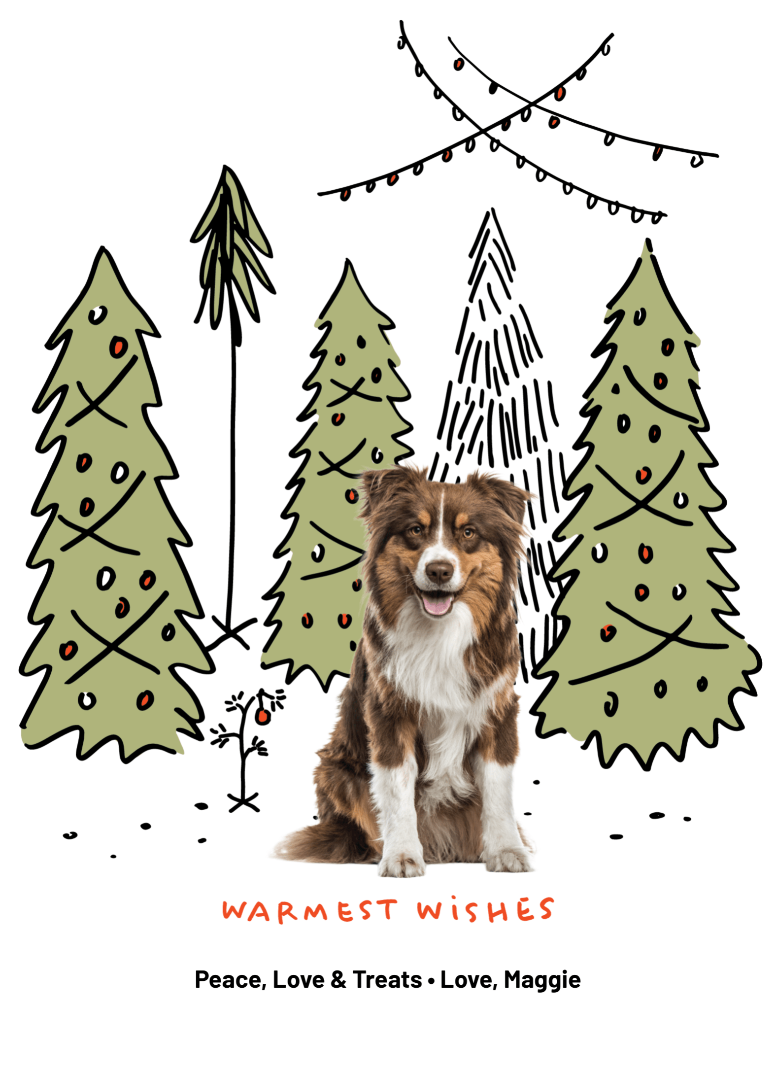 Winter Forest Pets