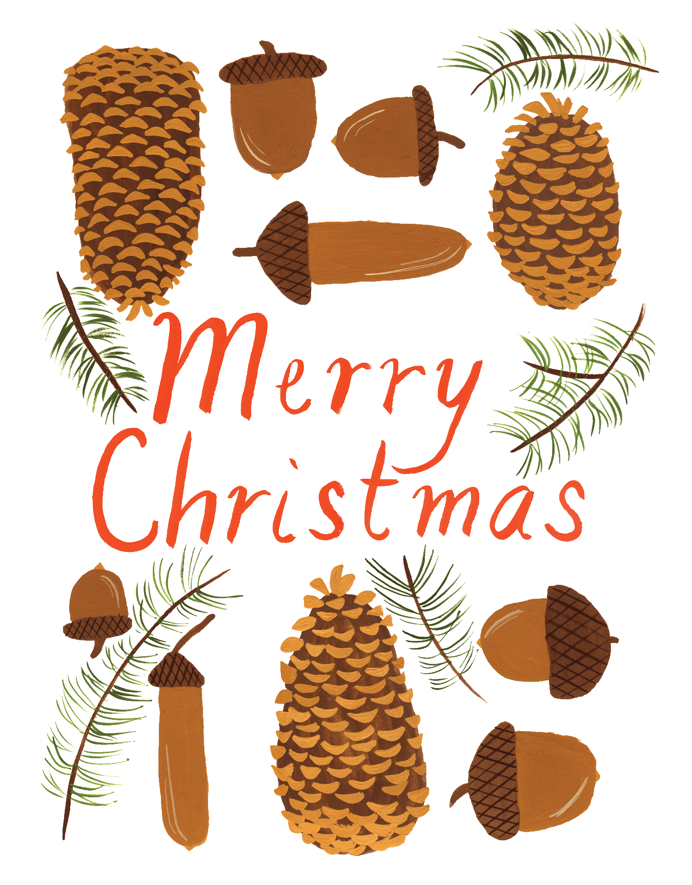 Cones & Acorns