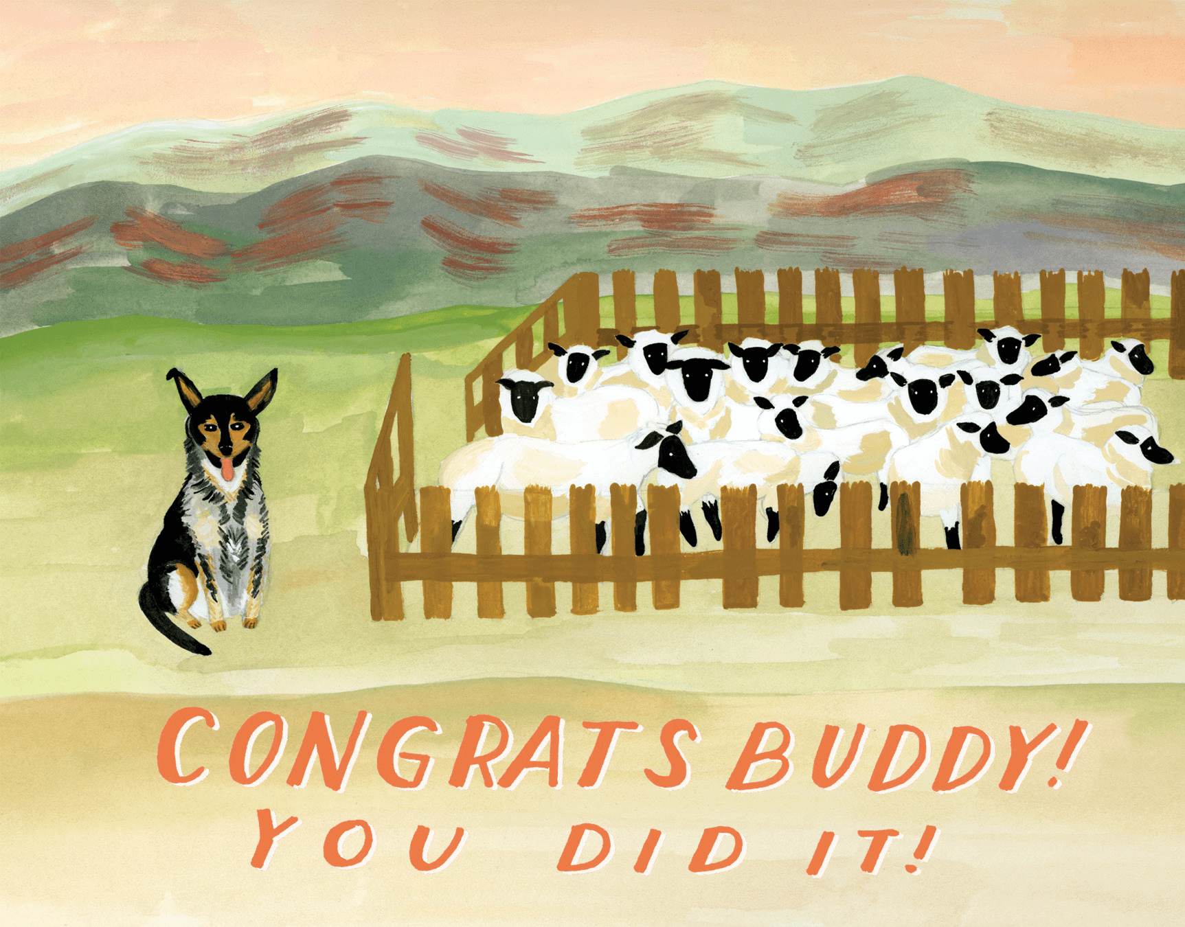Sheep Dog Congrats