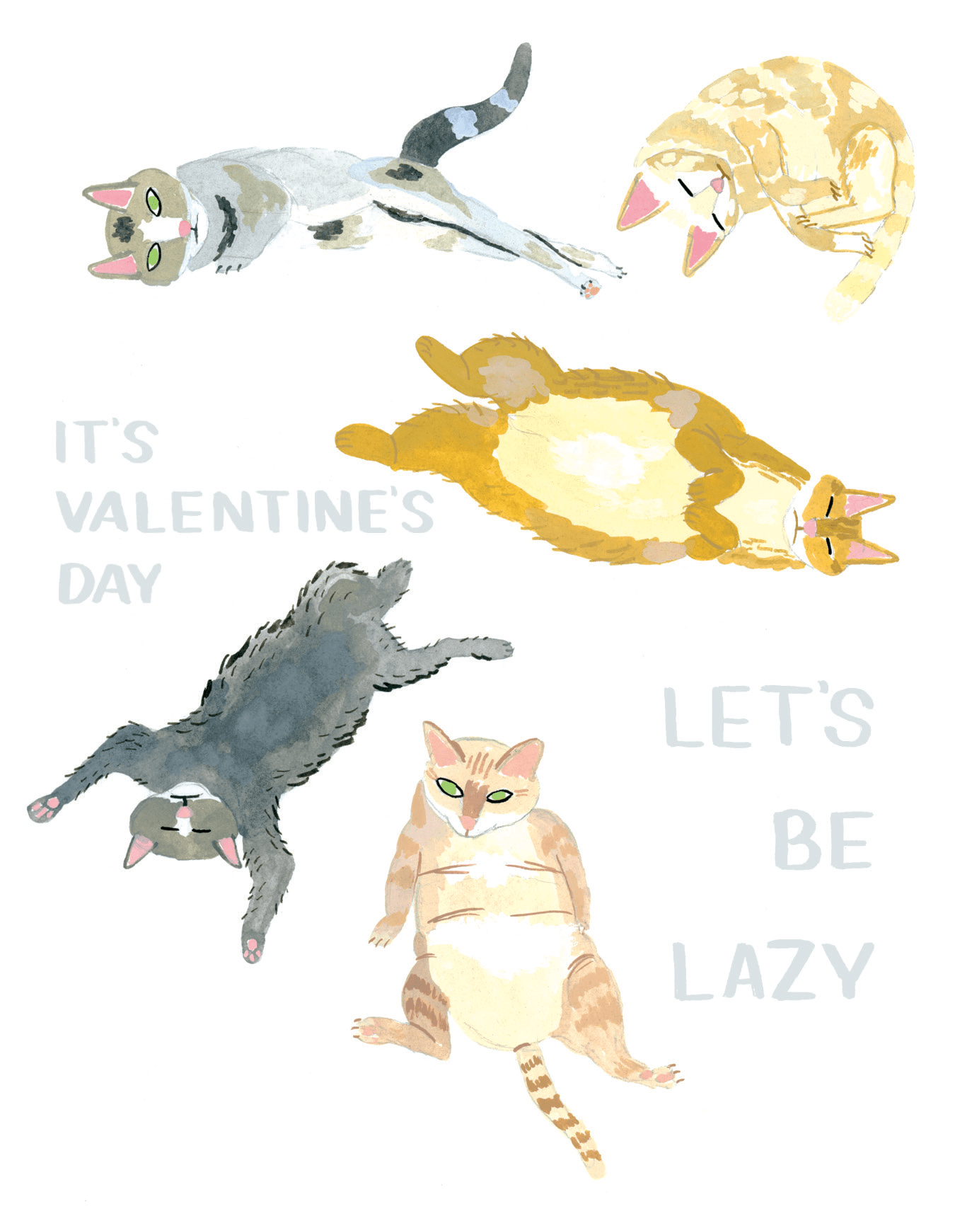 Lazy Cats