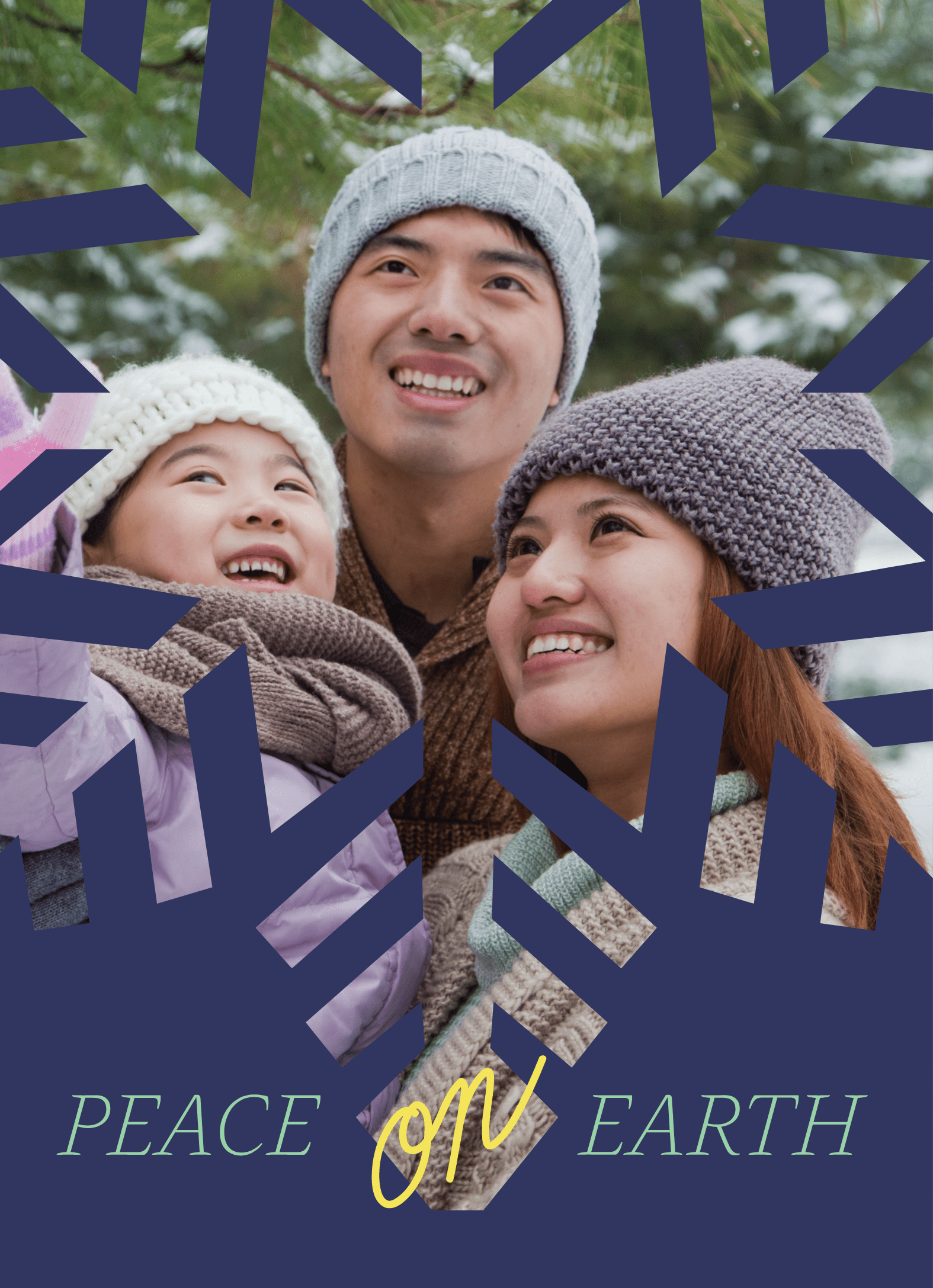 Snowflake Photo