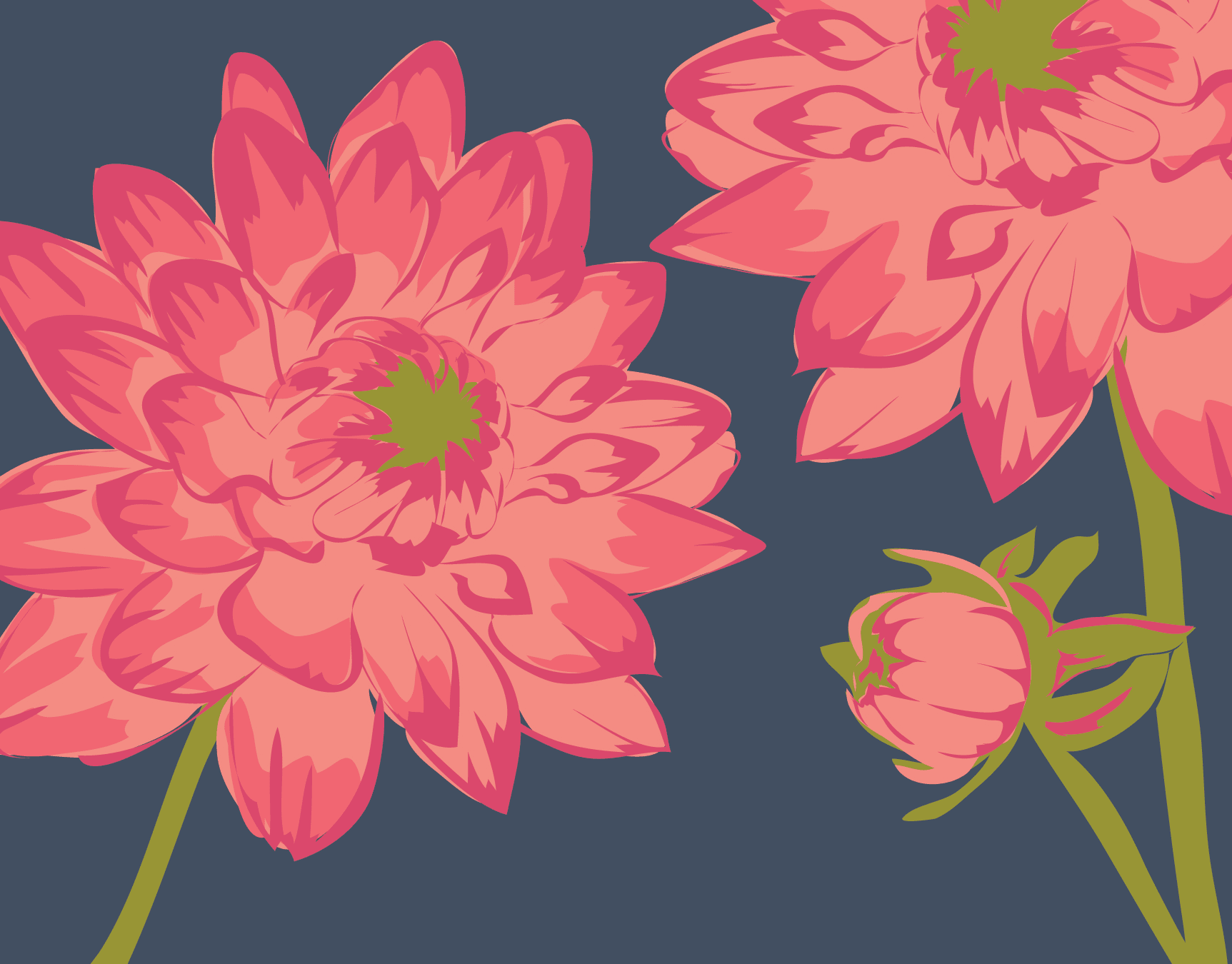 Dahlia Patch