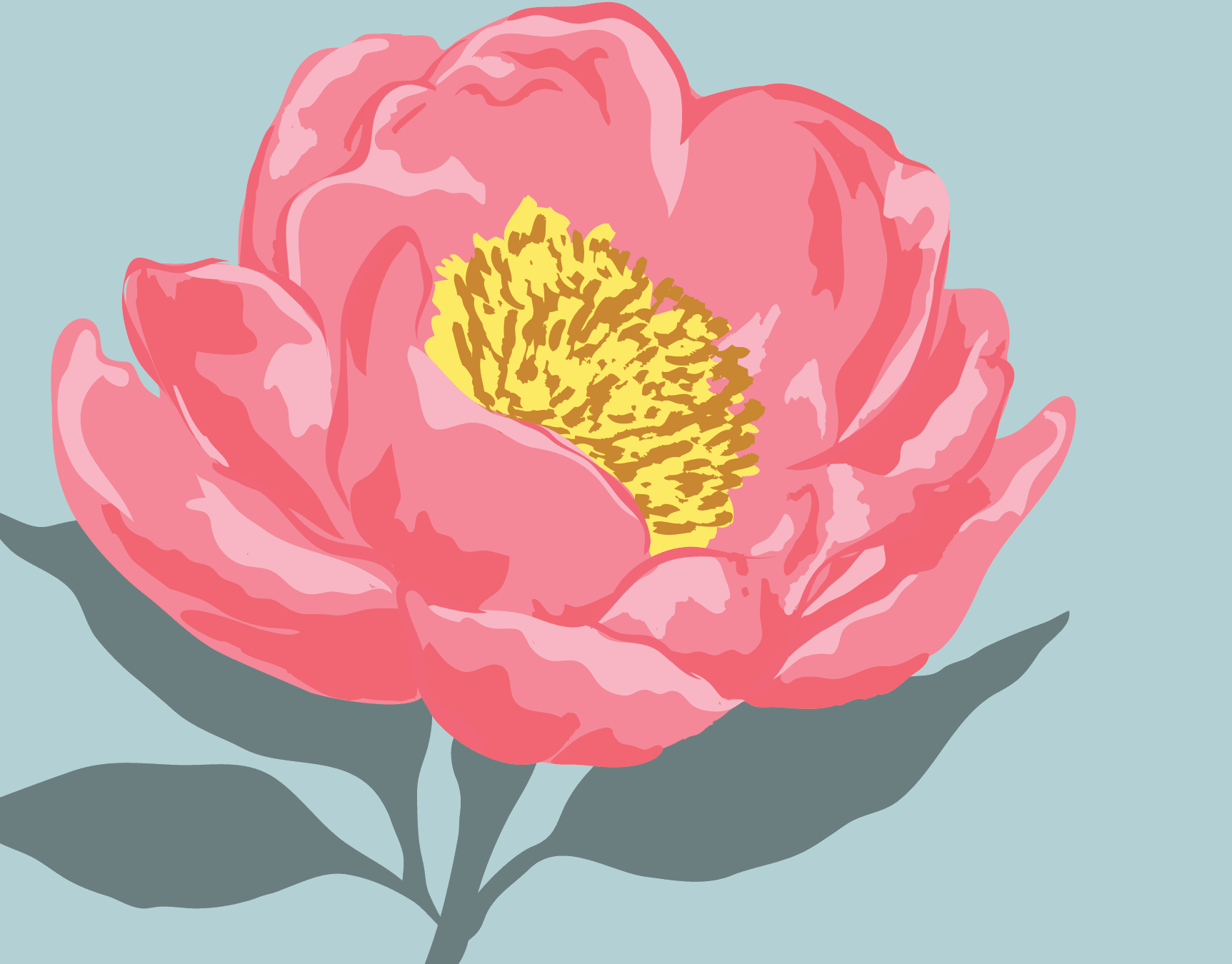 Pink Peony