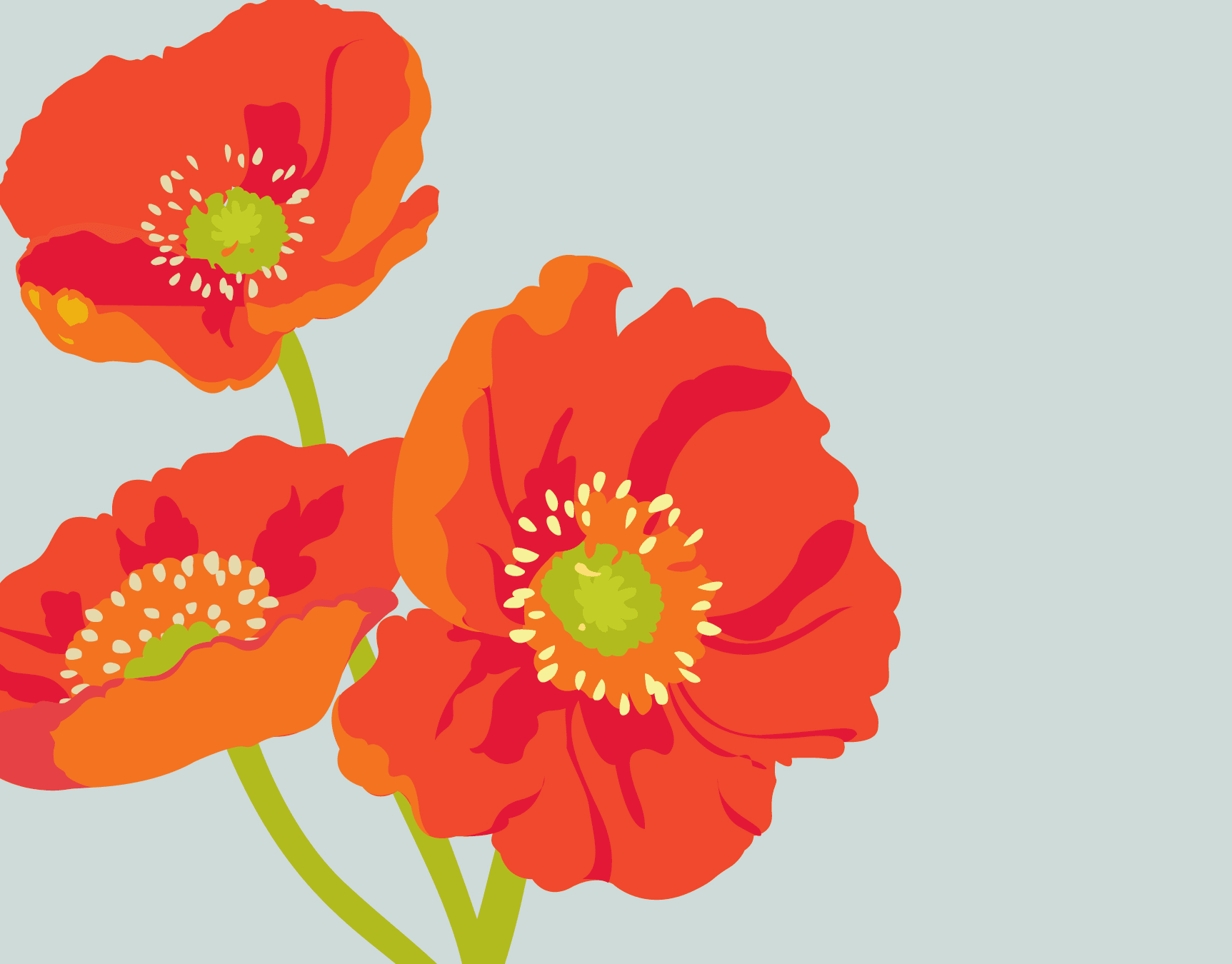 Poppies