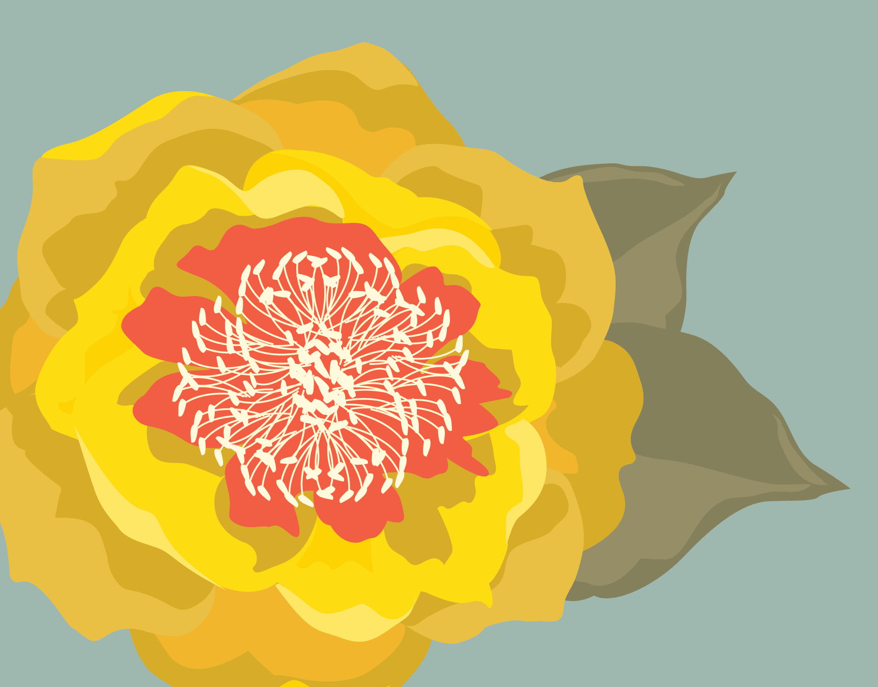 Sunny Blossom