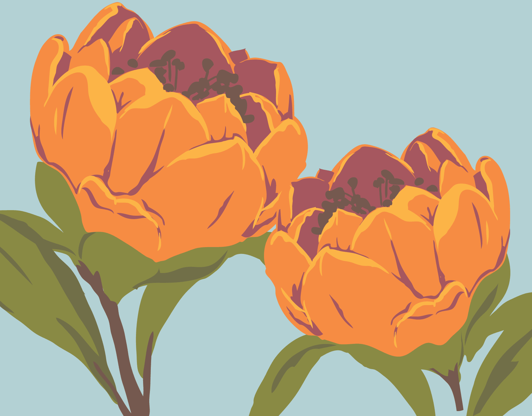 Wax Flower