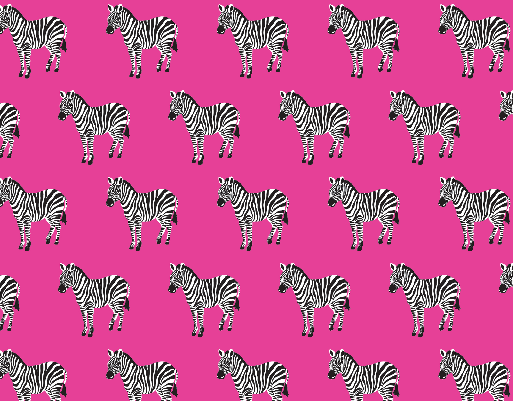 Zebras